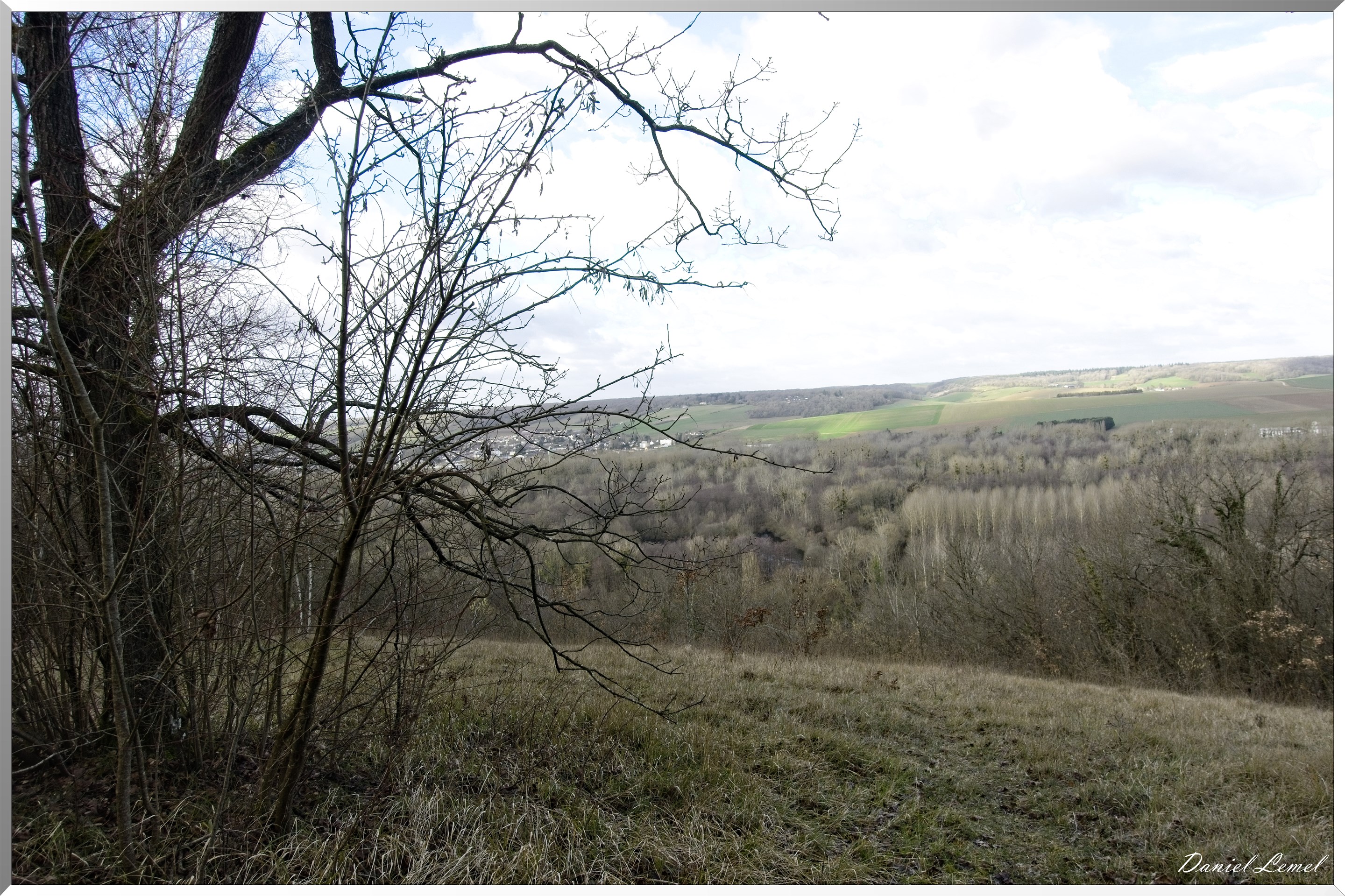 Arborétum de la Roche-Guyon
