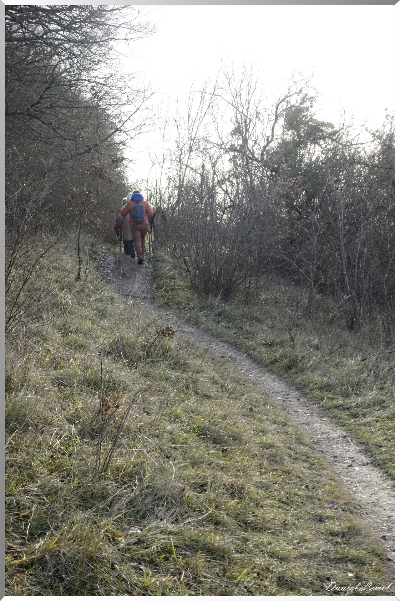 Arborétum de la Roche-Guyon