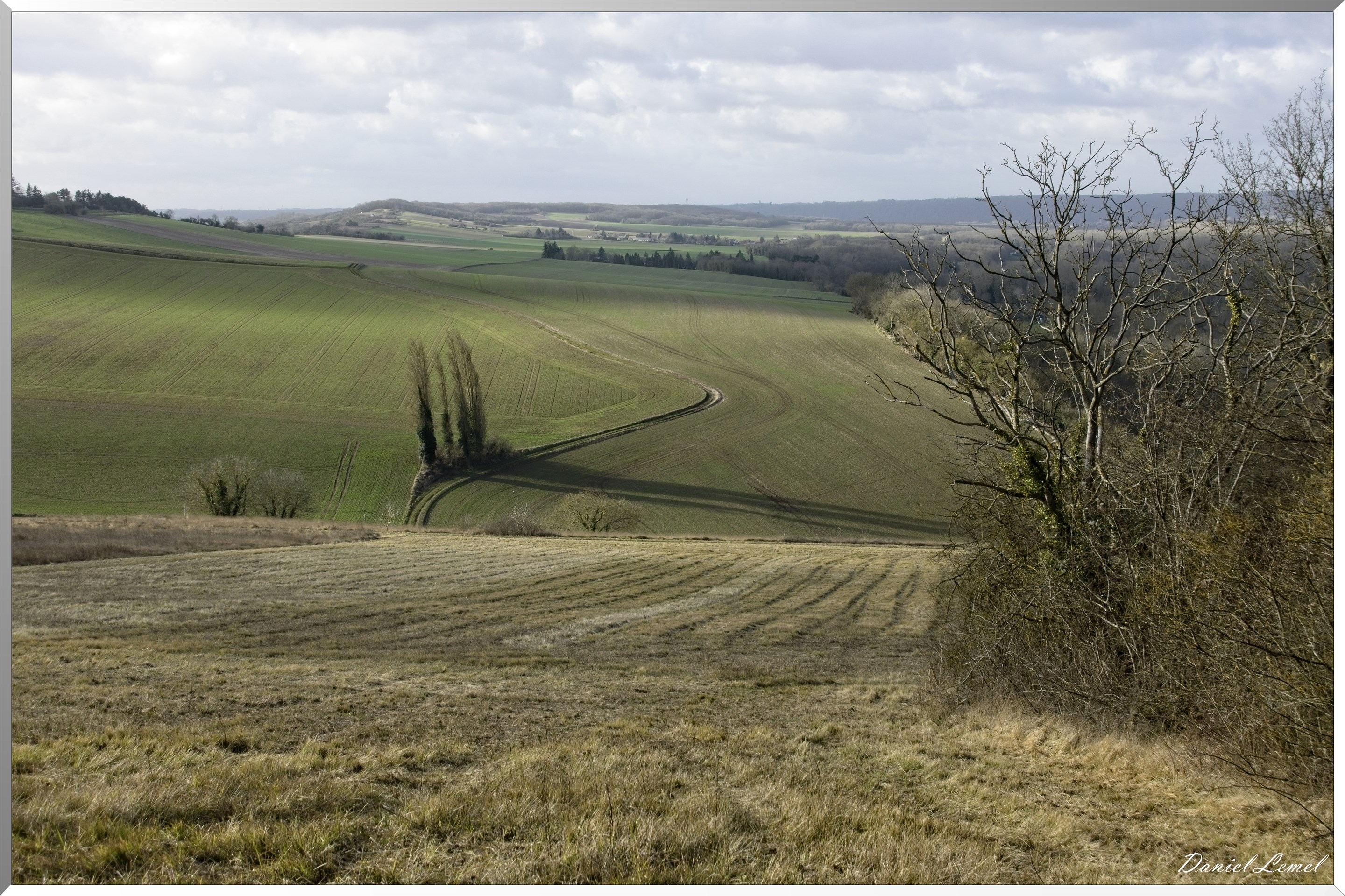 Arborétum de la Roche-Guyon