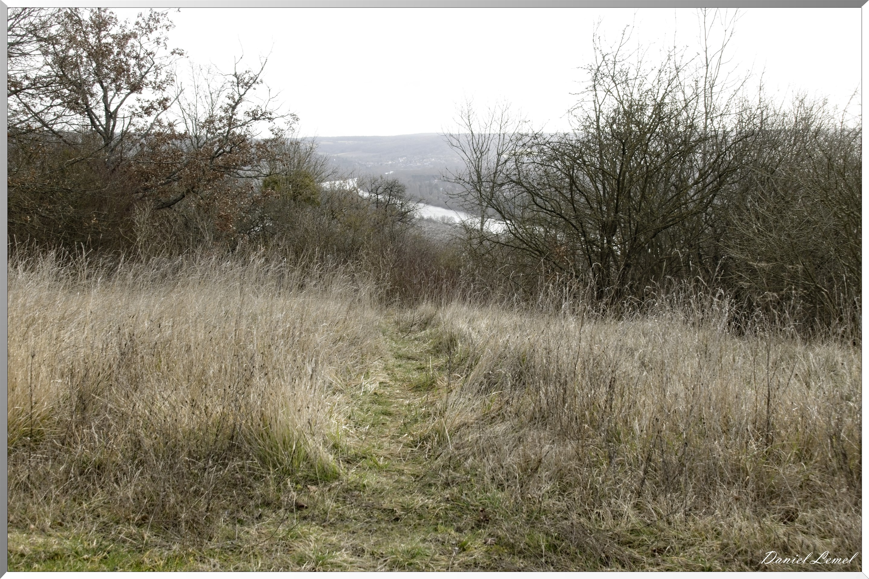 Arborétum de la Roche-Guyon