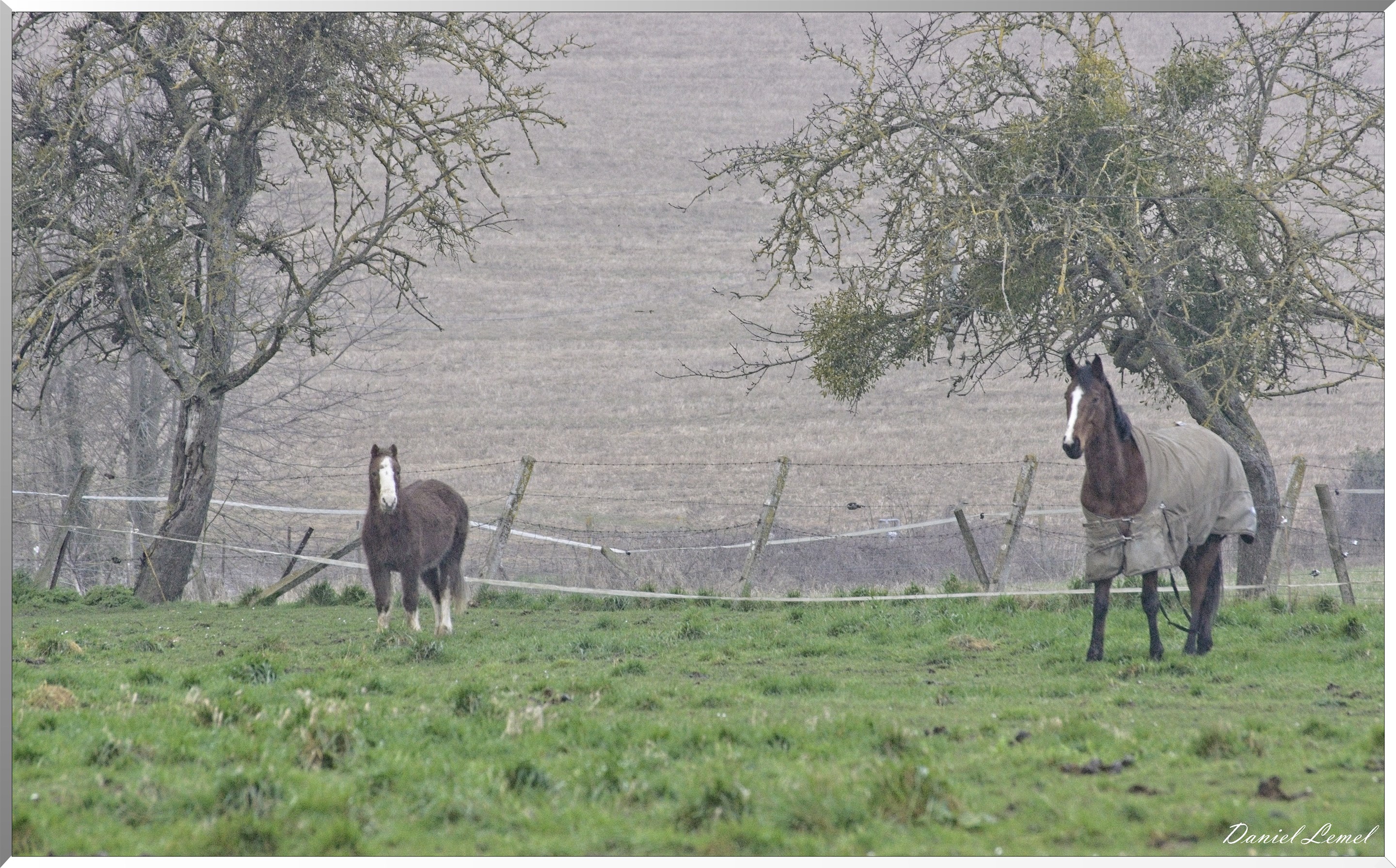 Noyers