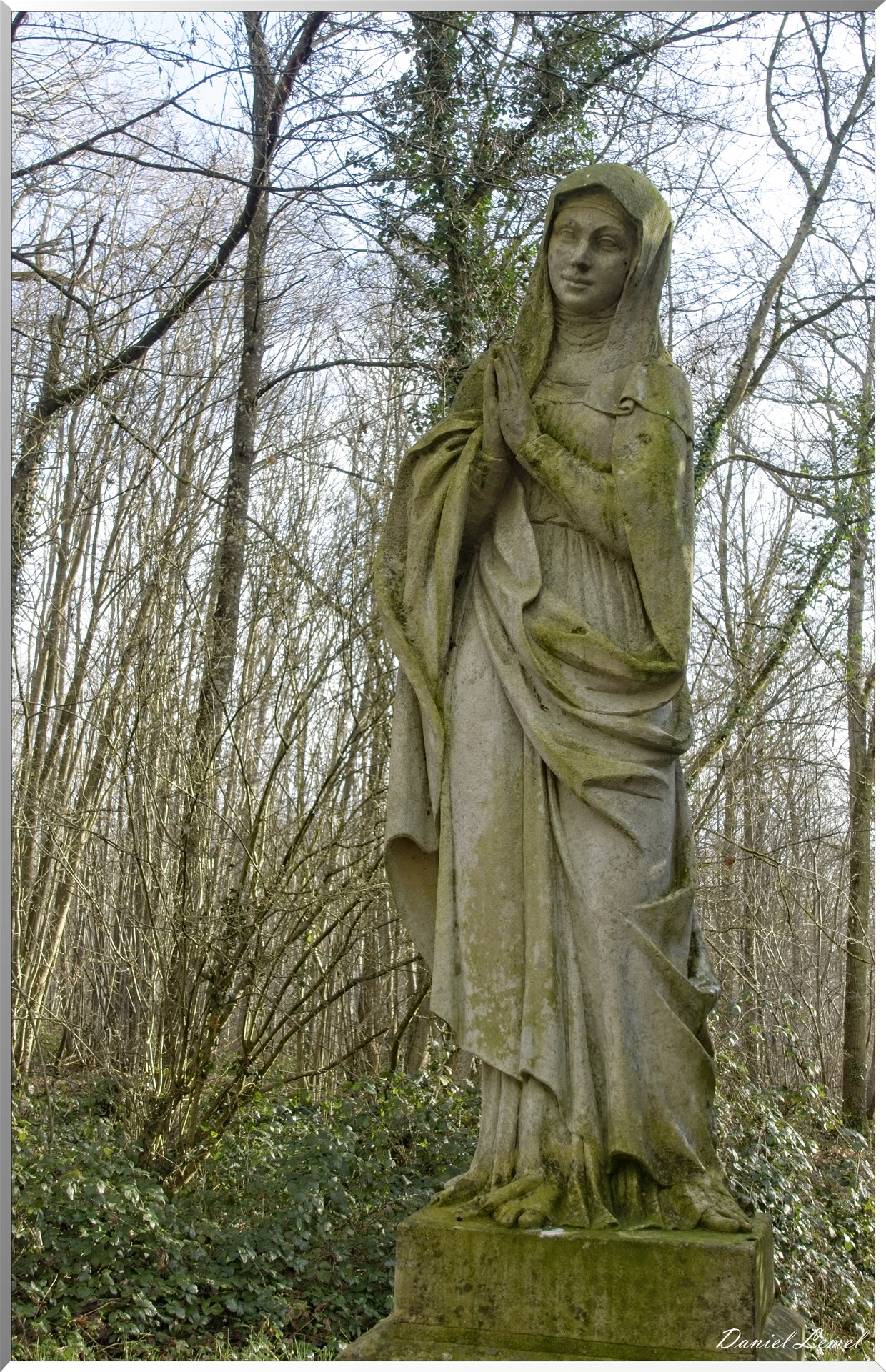 Noyers
