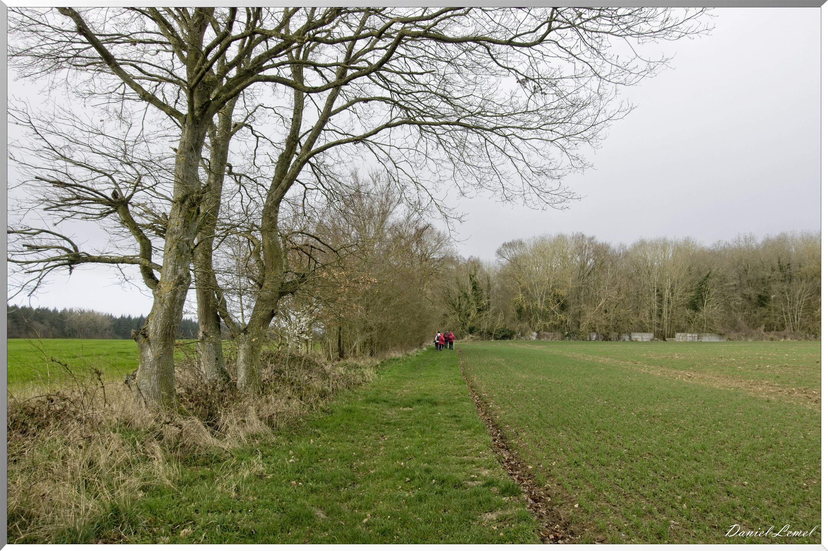 Noyers