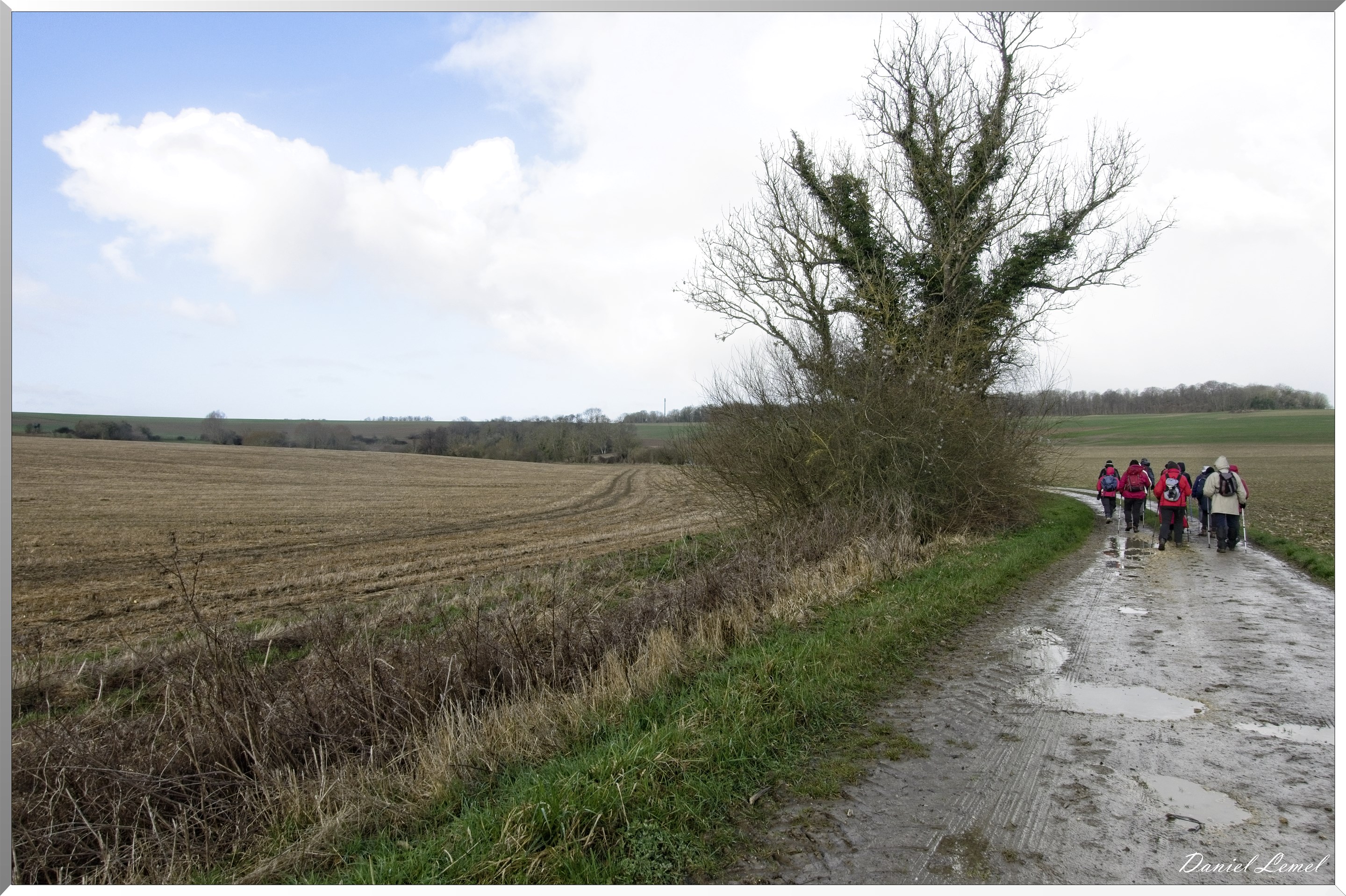 Noyers