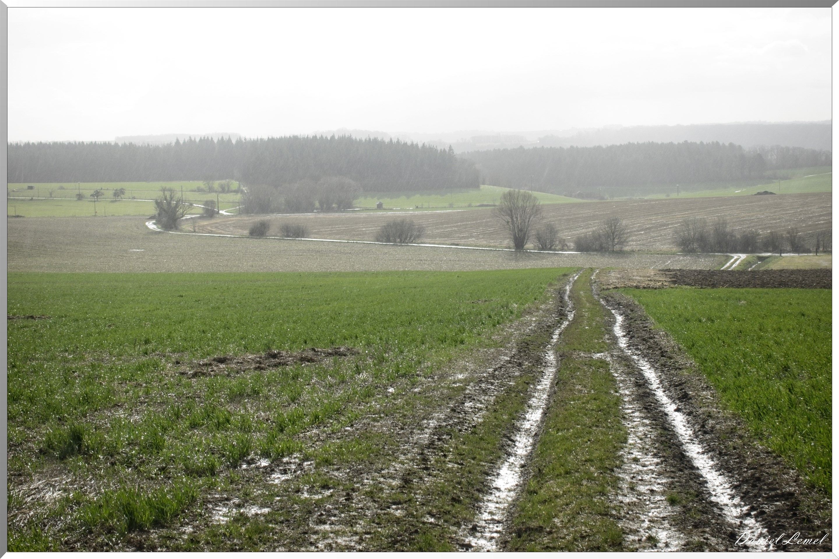 Noyers