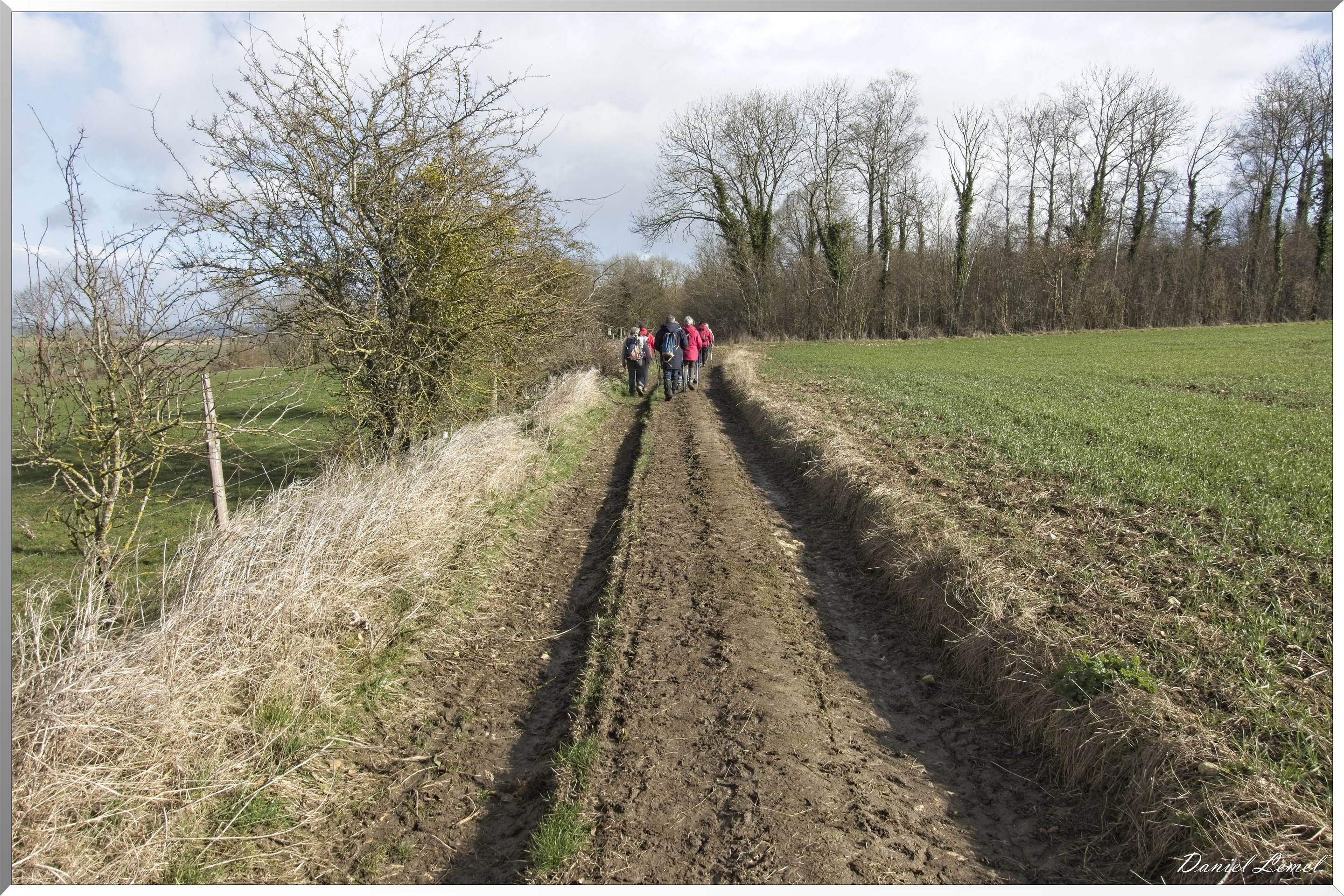 Noyers