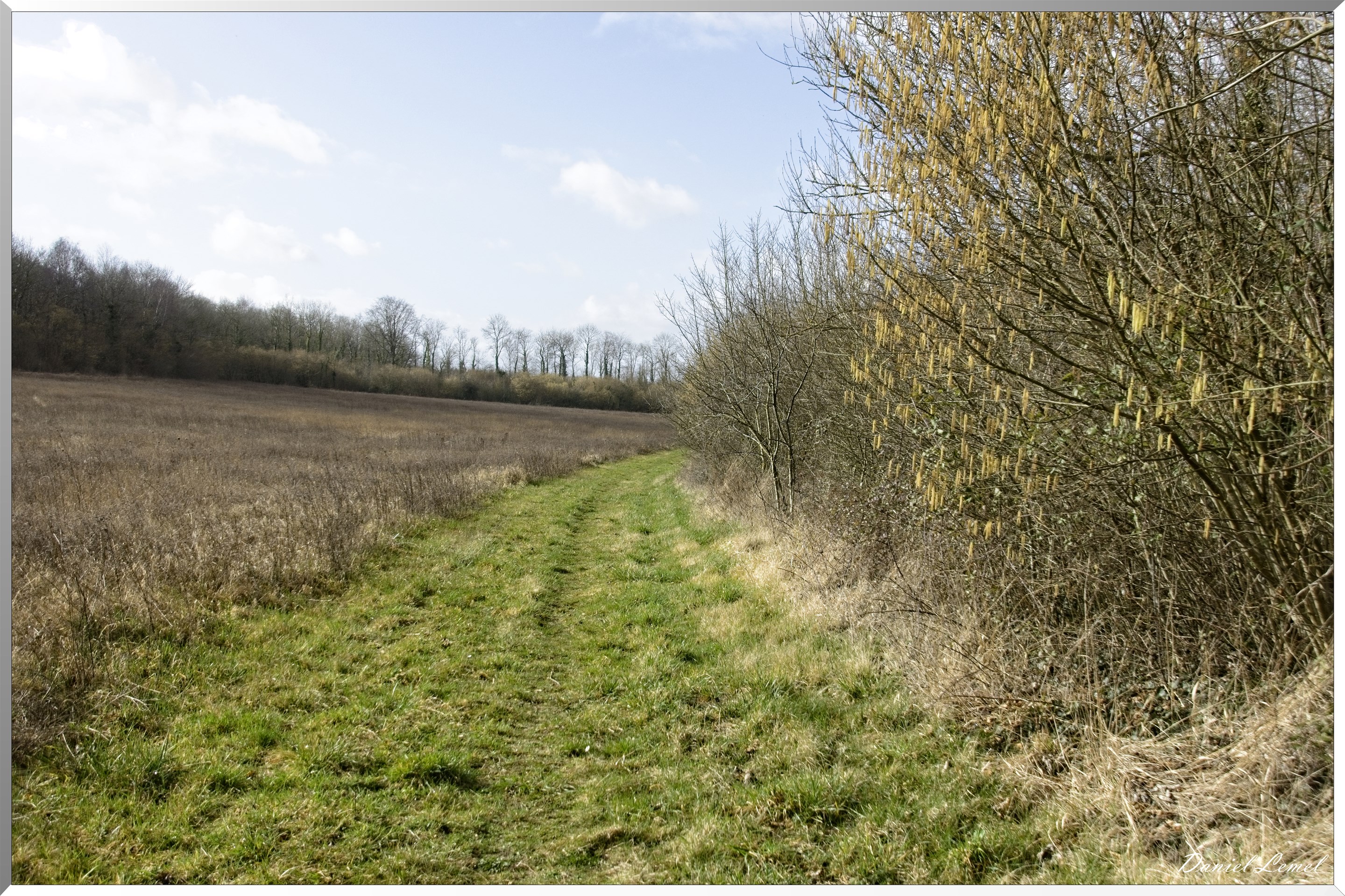Noyers