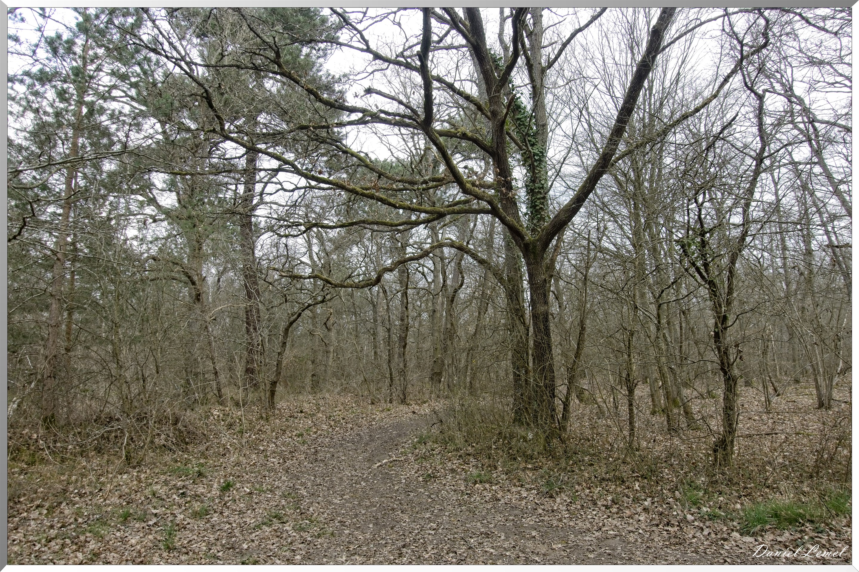 Moisson
