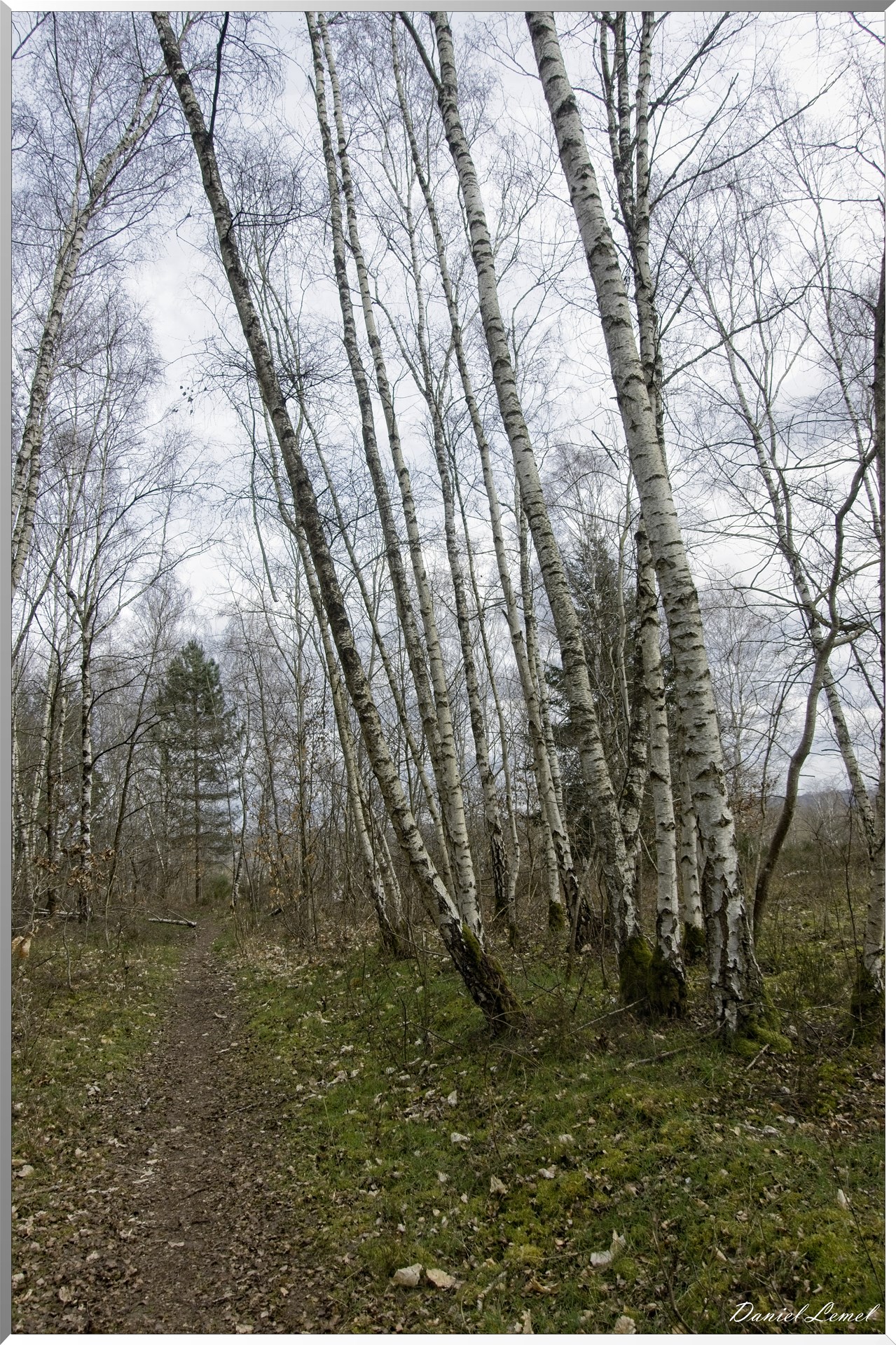 Moisson