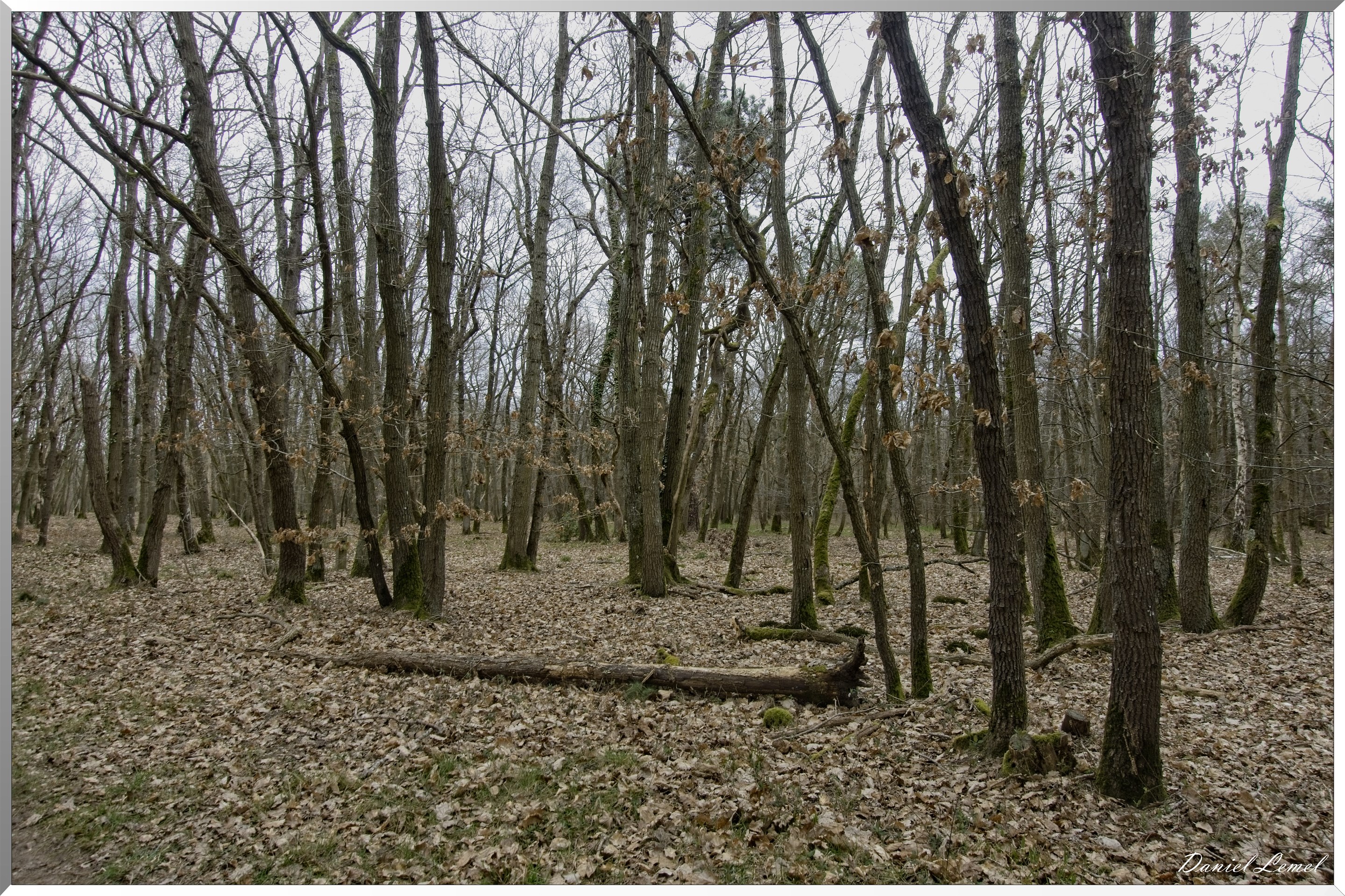 Moisson
