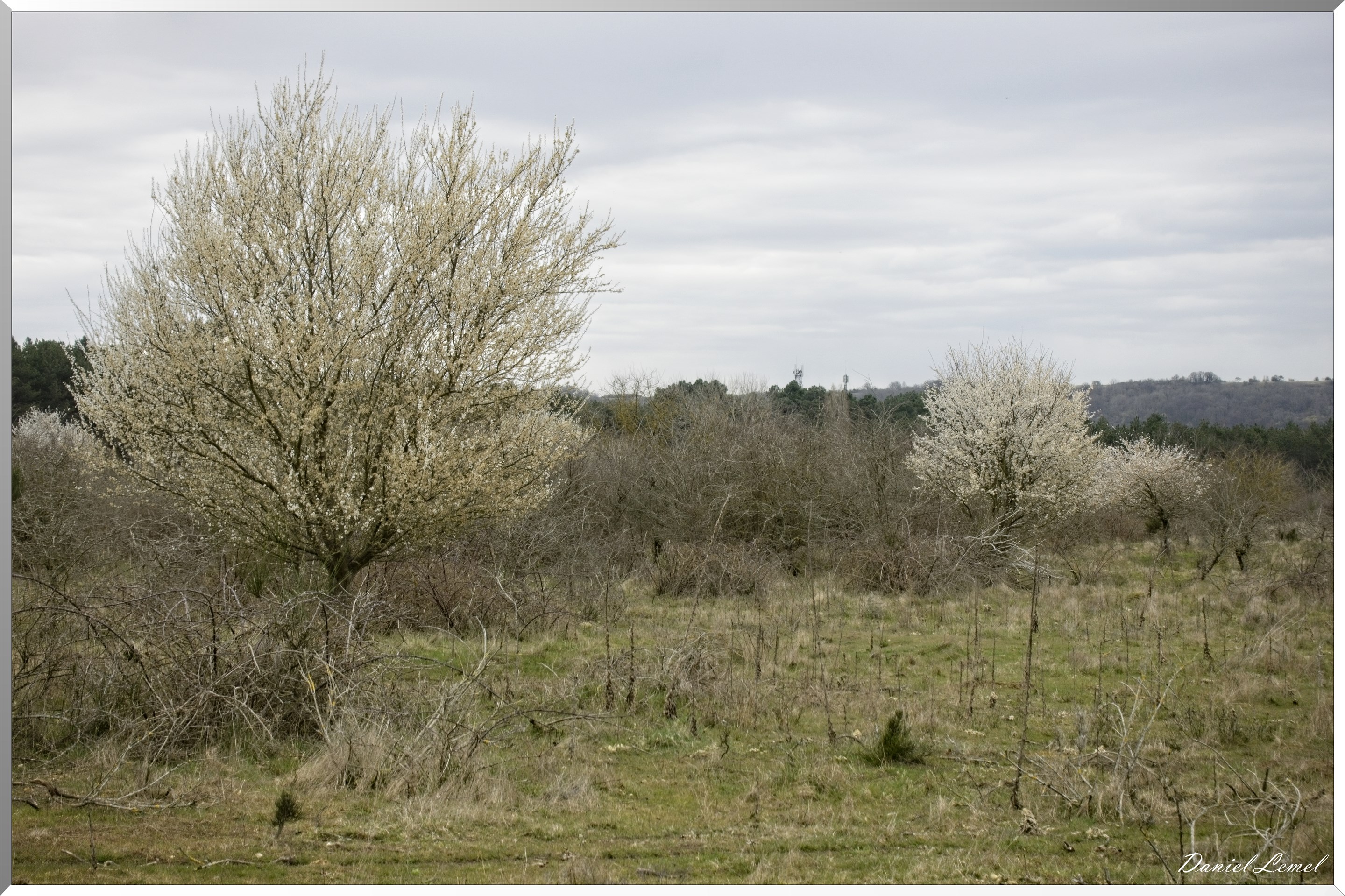 Moisson
