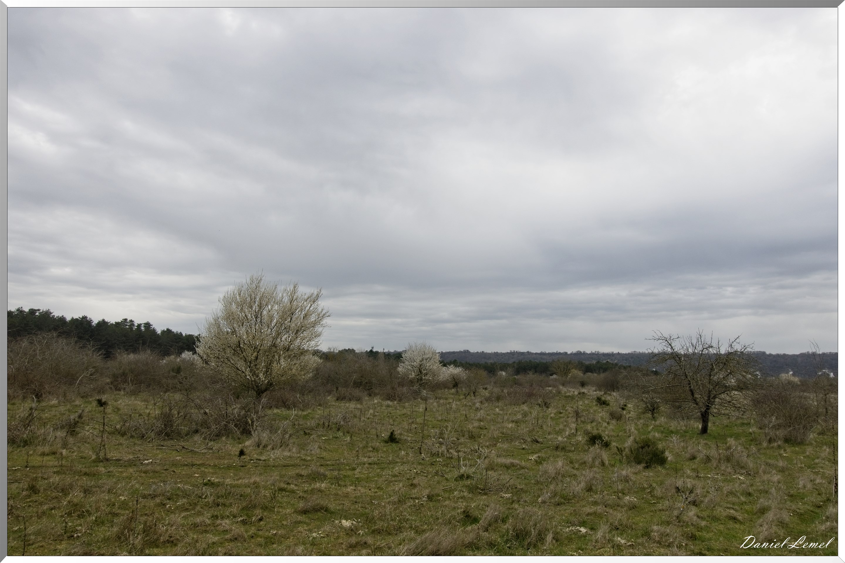 Moisson