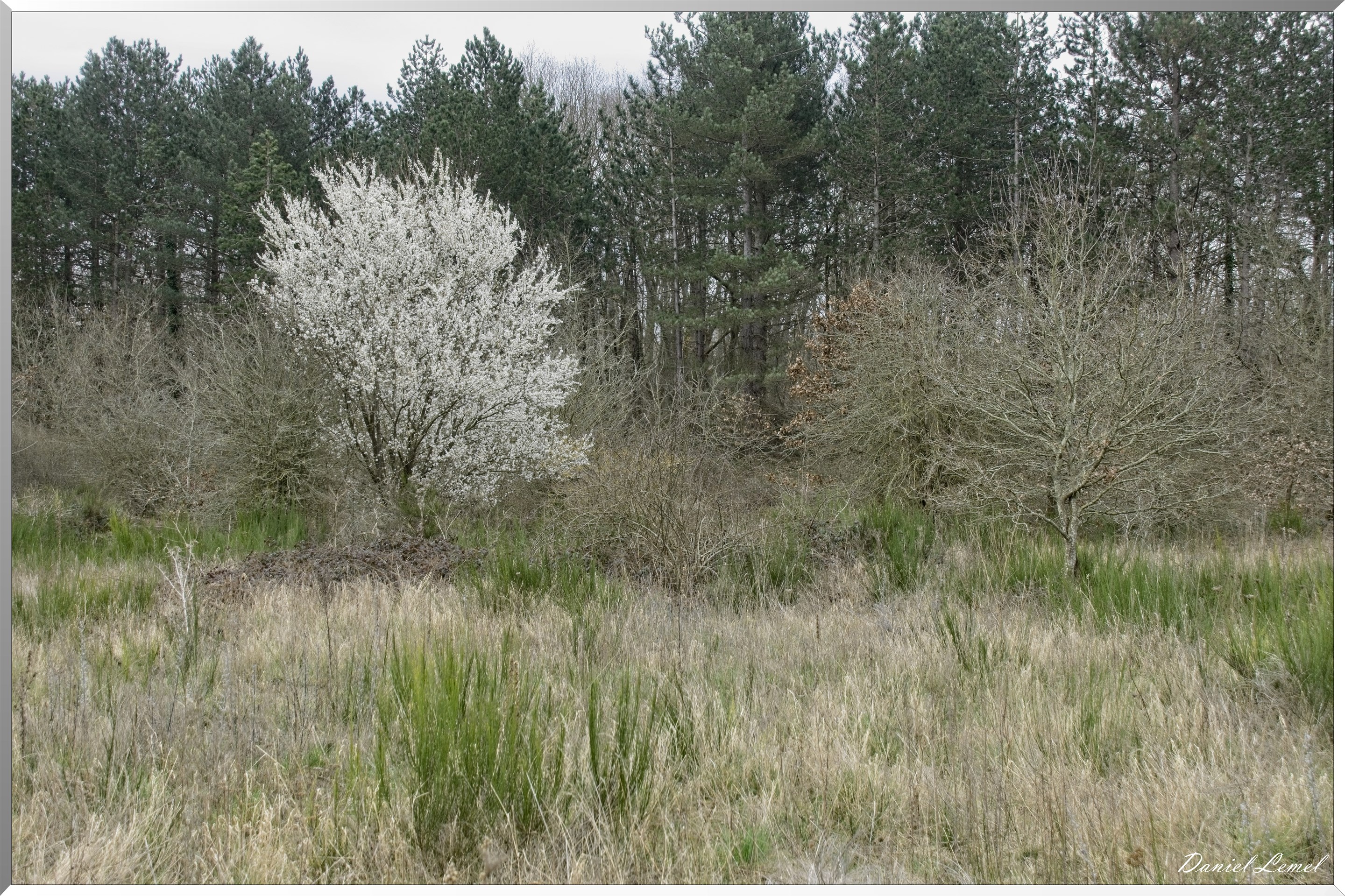 Moisson