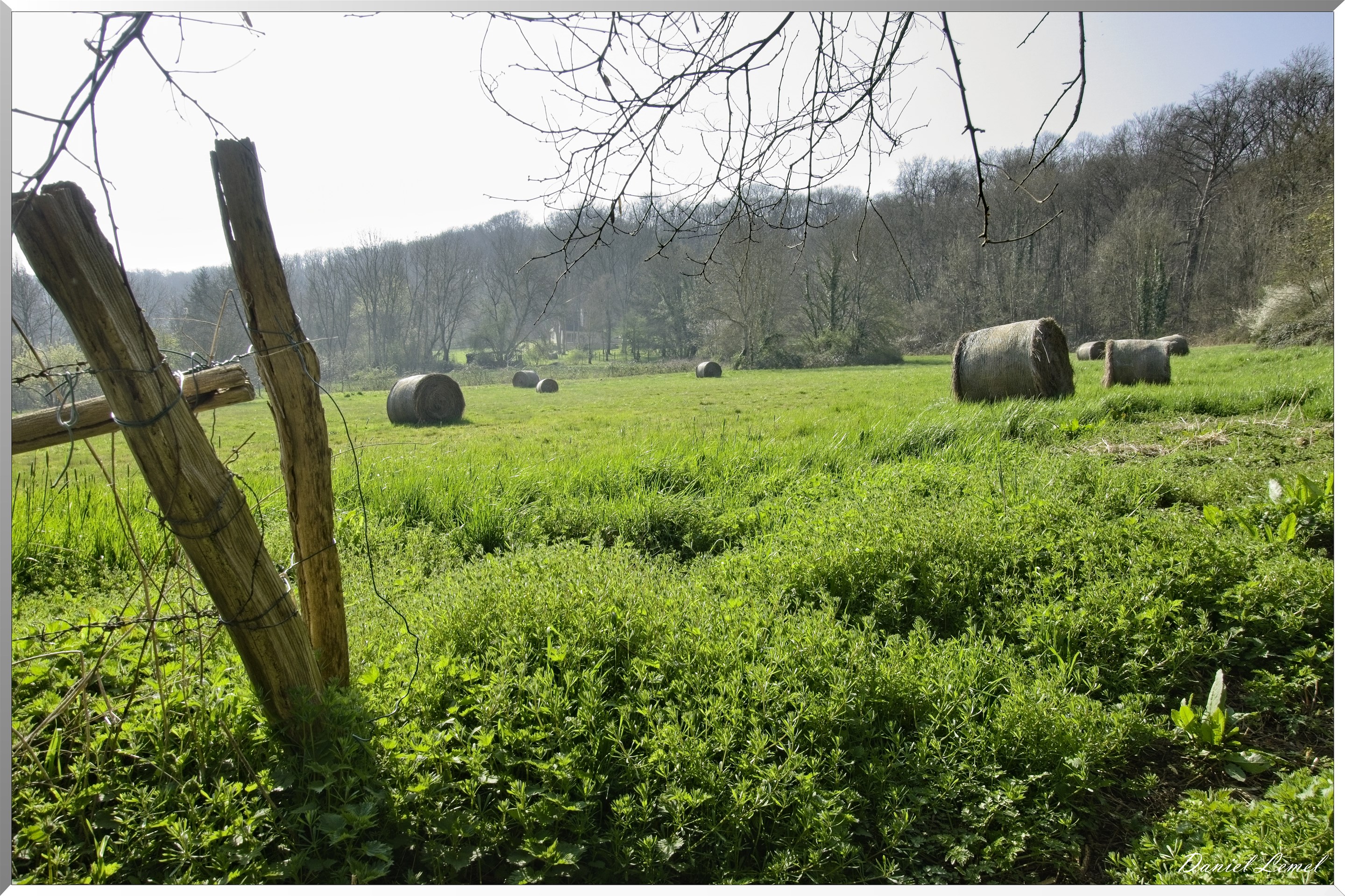 Les côteaux de Saint-Marcel