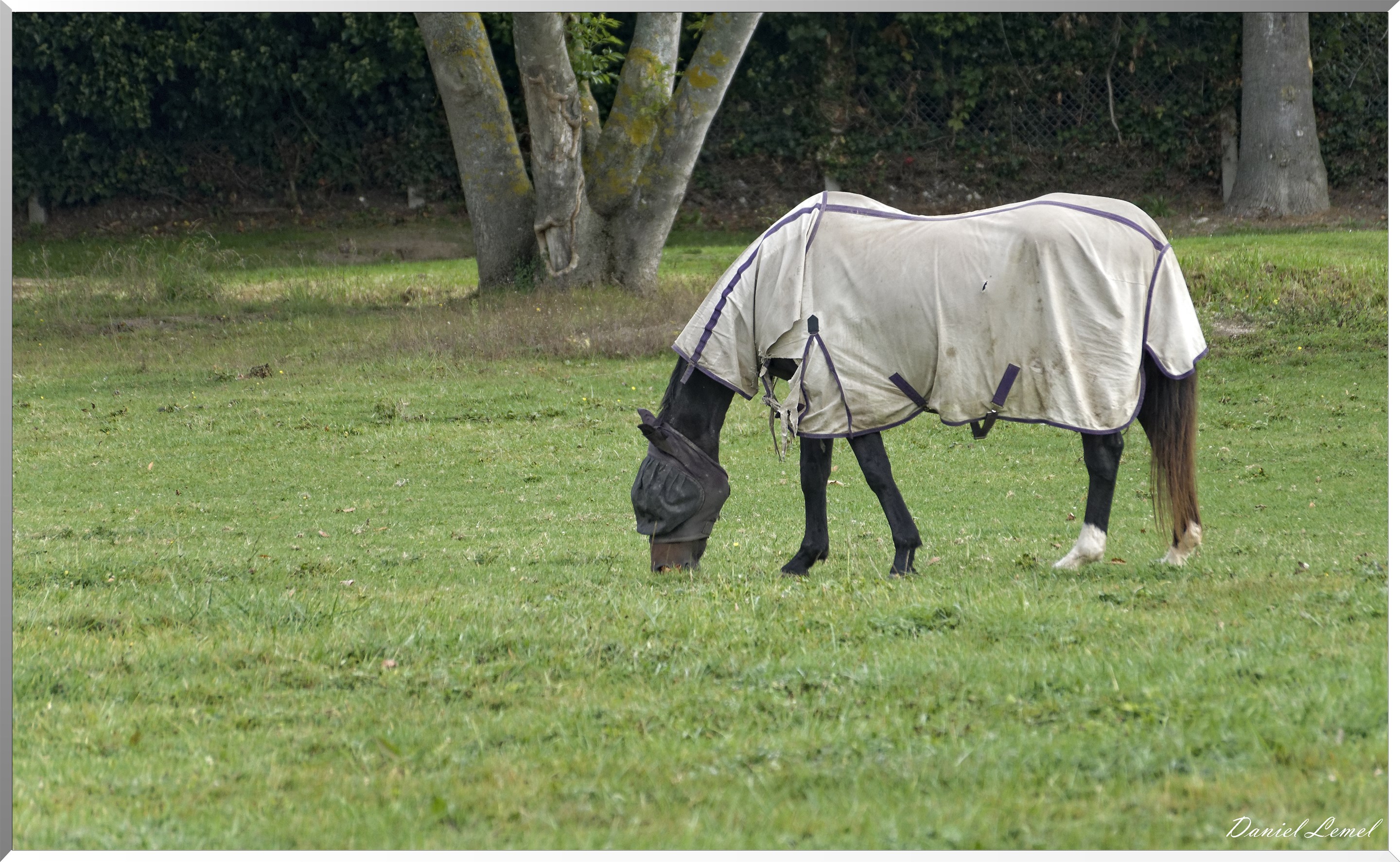Les coteaux de Giverny