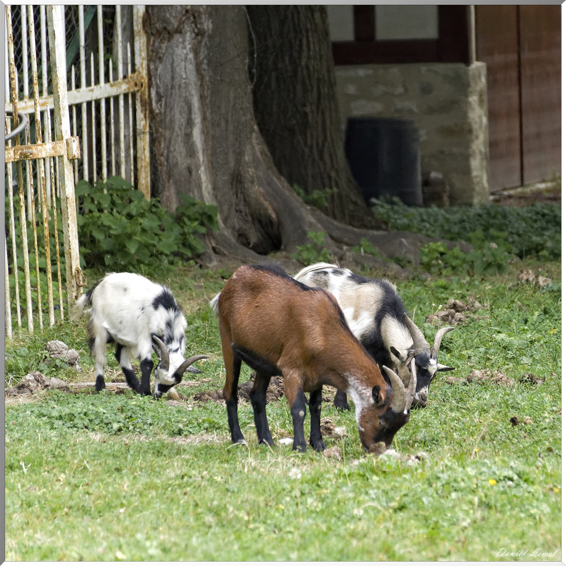 Les coteaux de Giverny