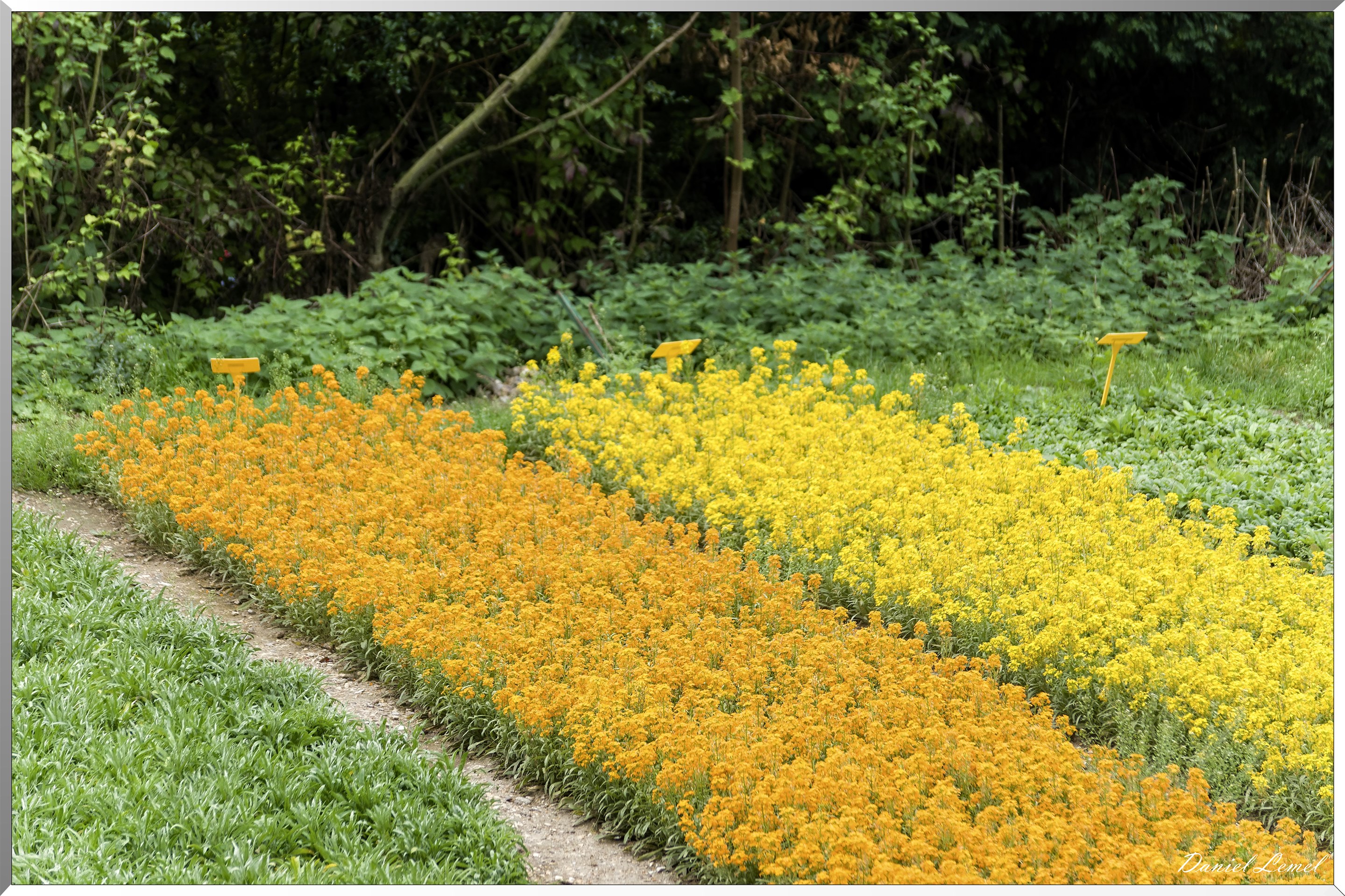 Les coteaux de Giverny