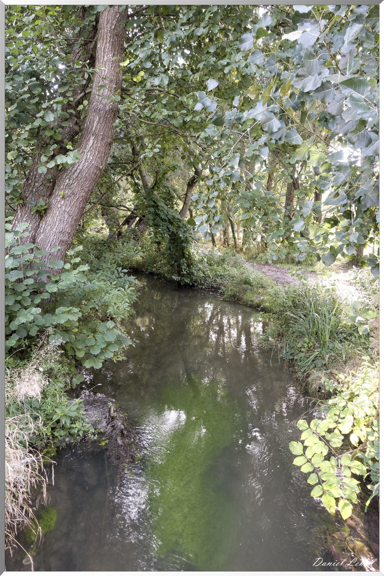 Les coteaux de Giverny