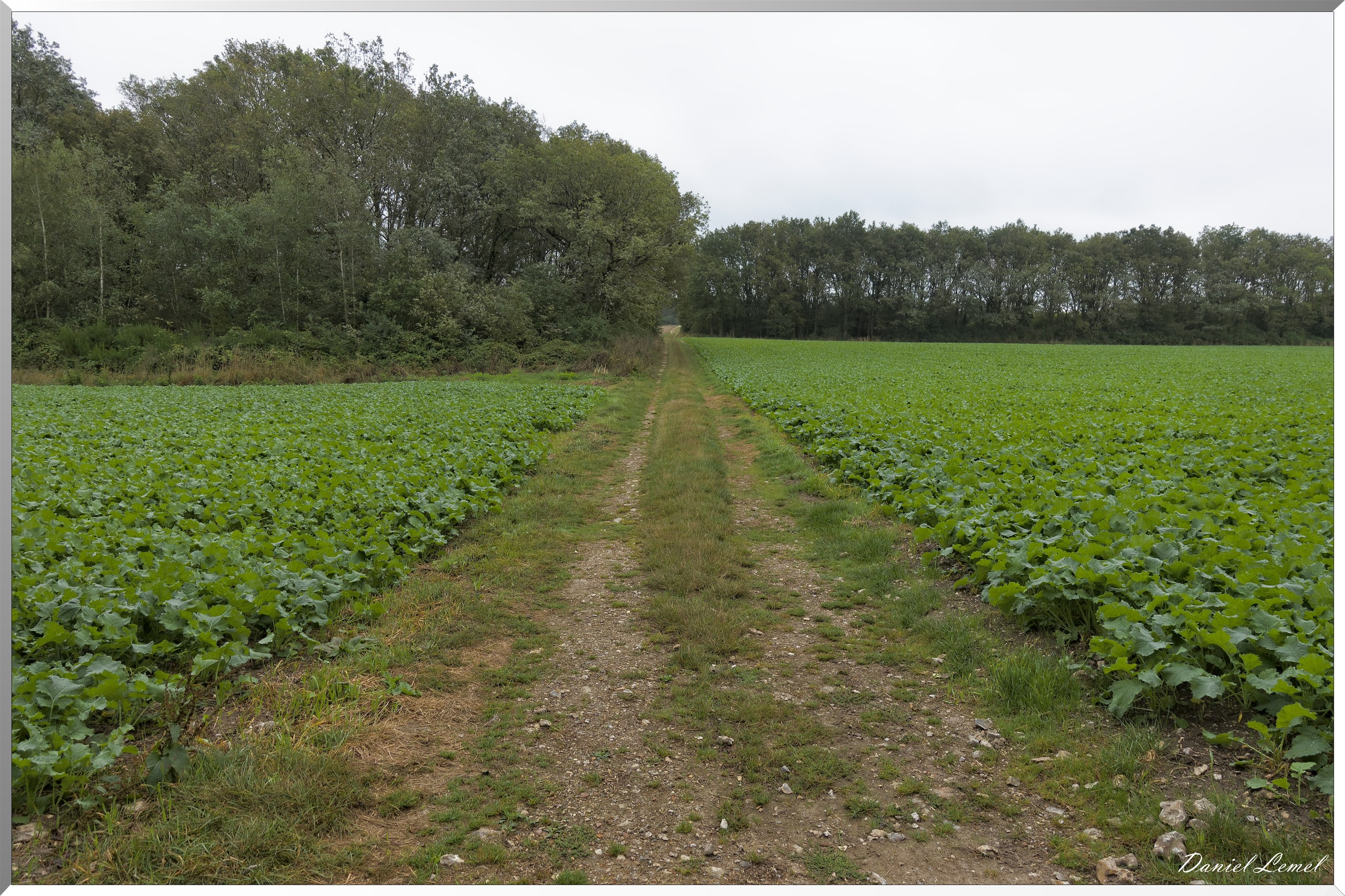 Les coteaux de Giverny