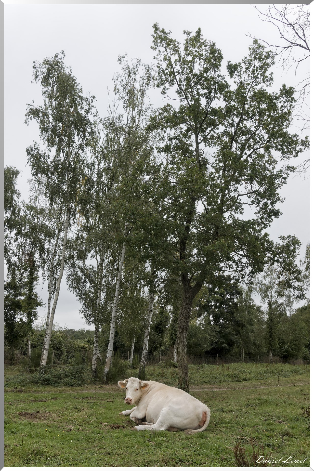 Les coteaux de Giverny