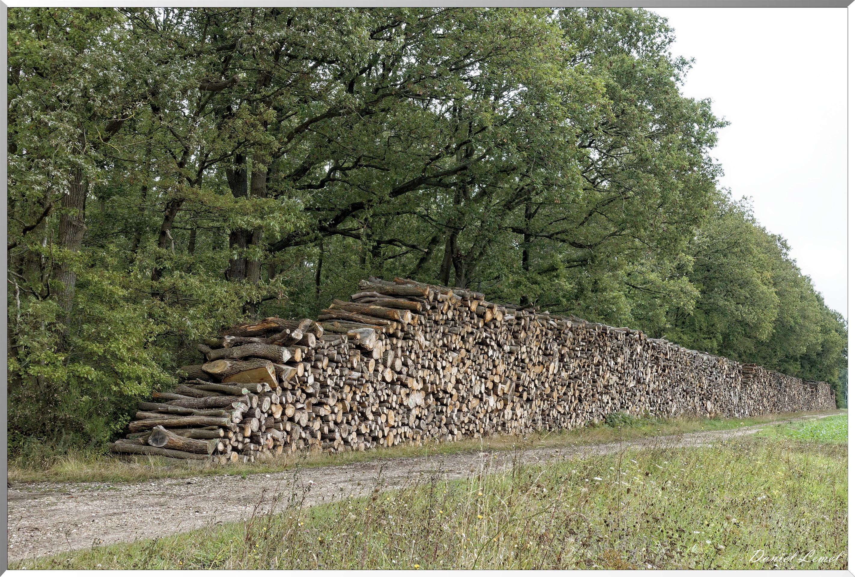 Les coteaux de Giverny