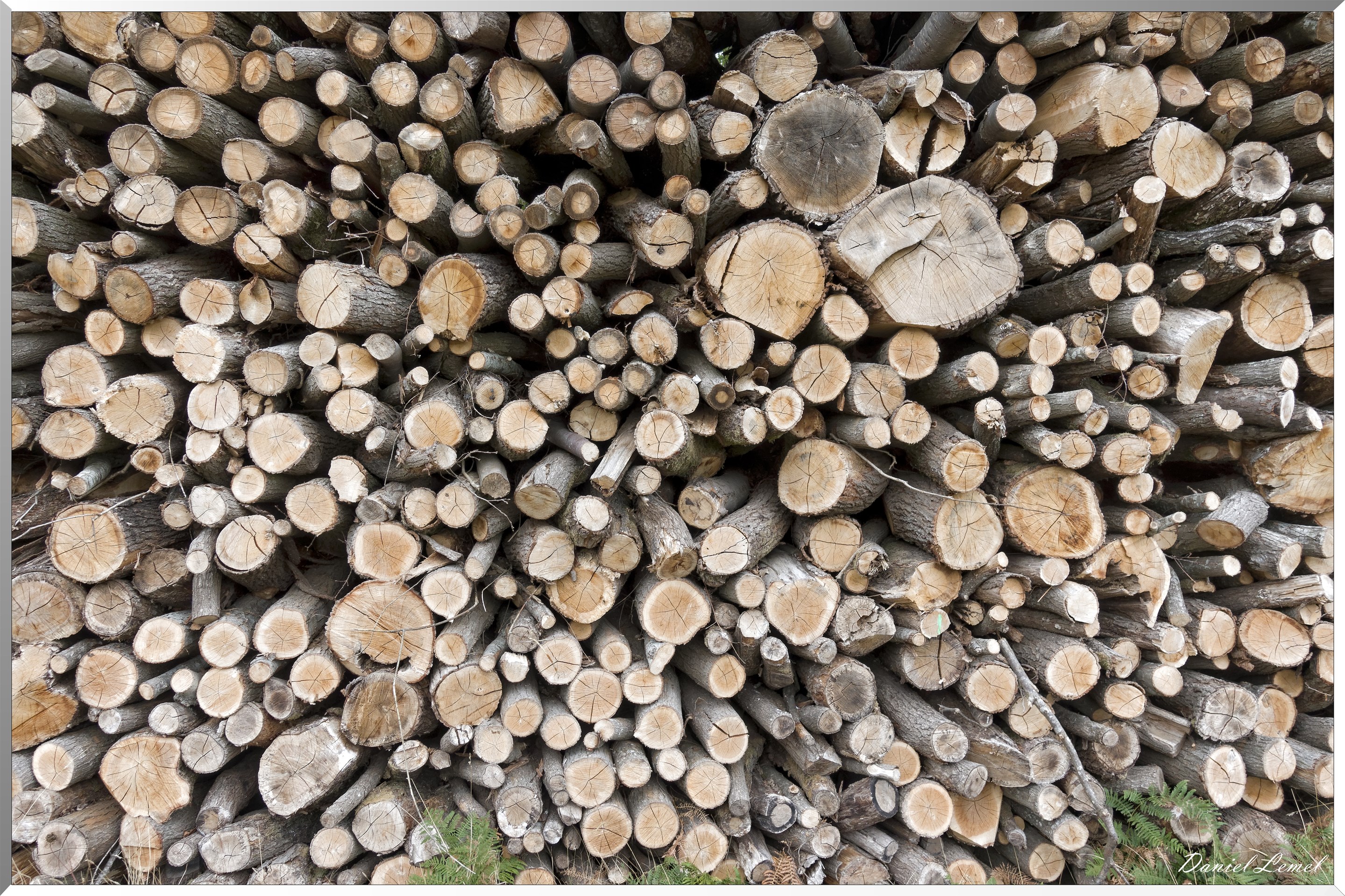 Les coteaux de Giverny