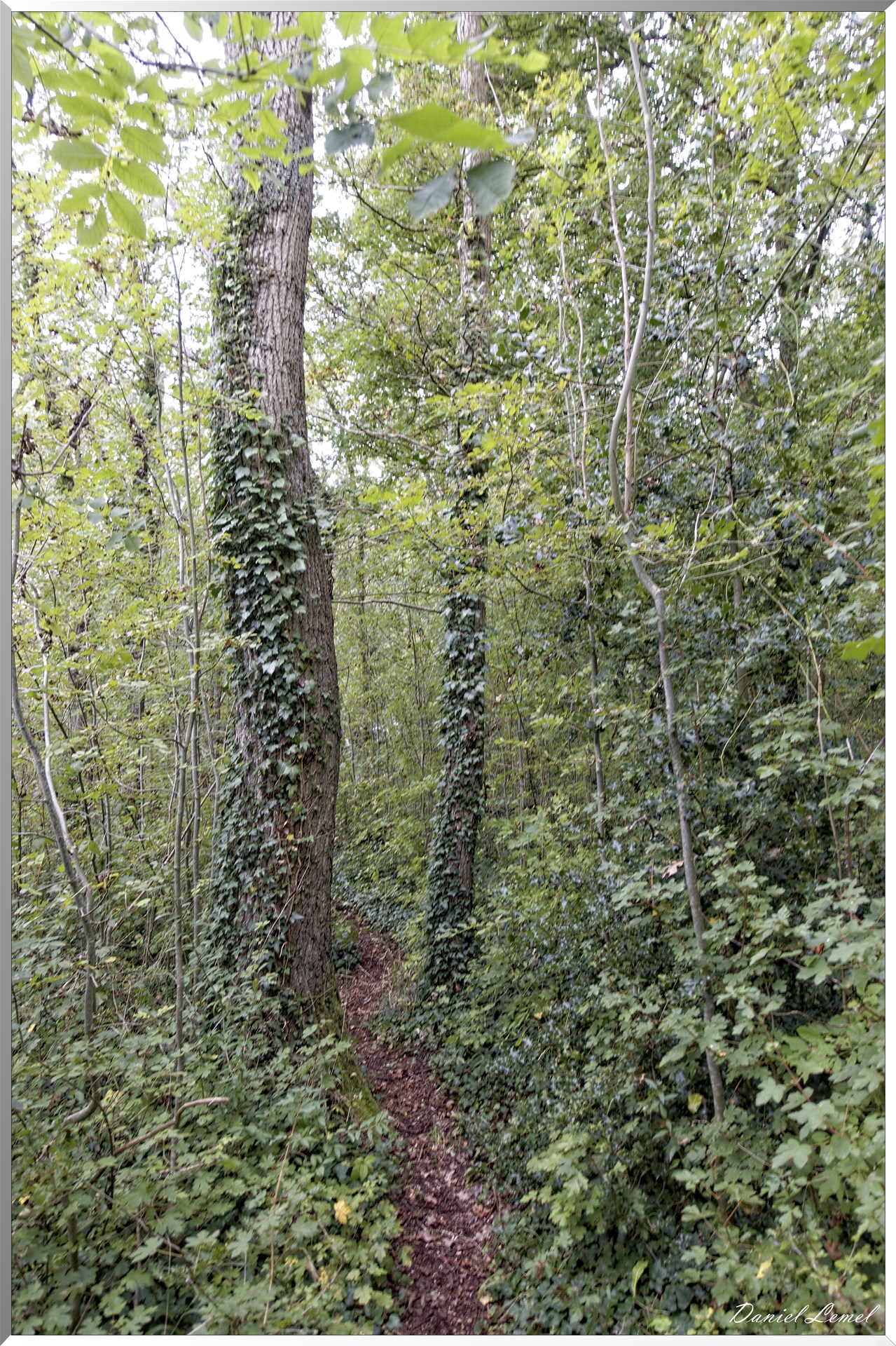 Les coteaux de Giverny