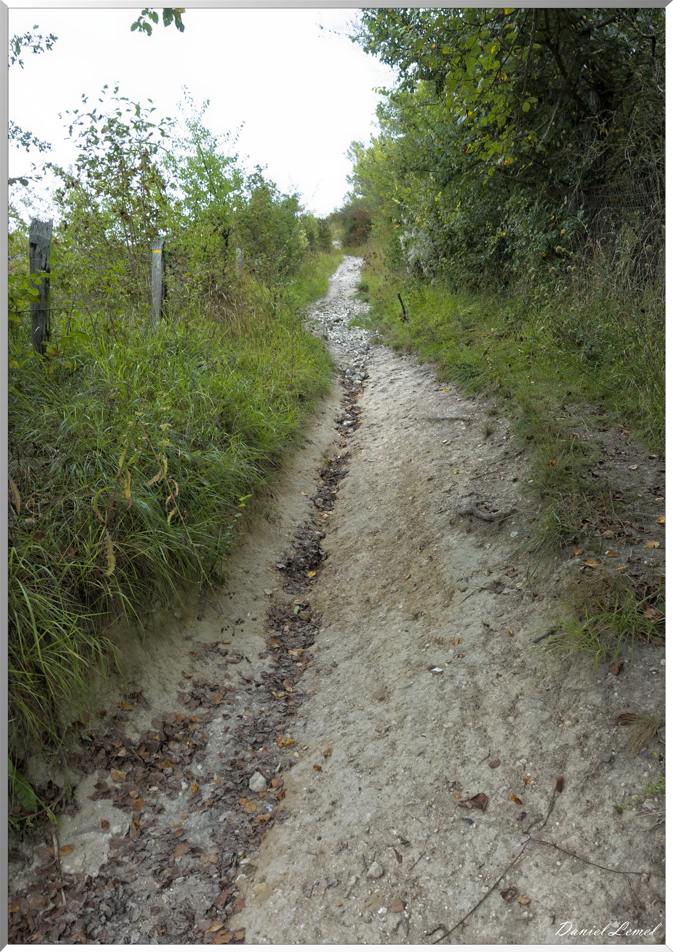 Les coteaux de Giverny