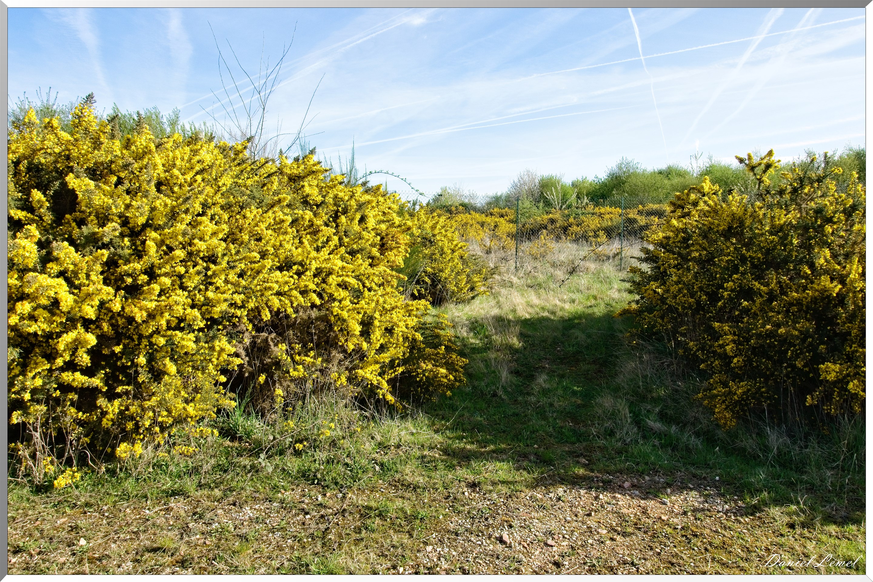 La-Chapelle-Réanville