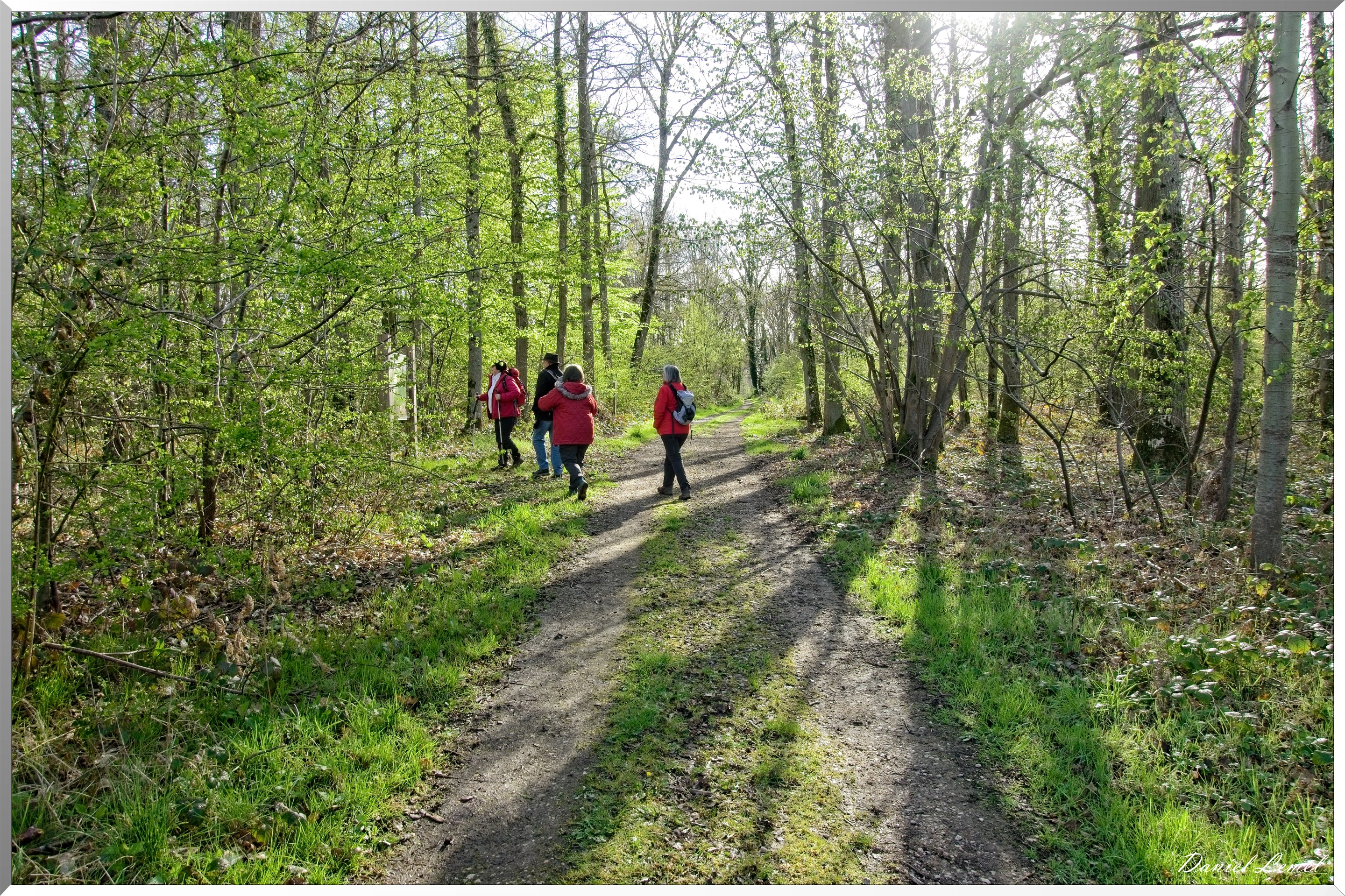 La-Chapelle-Réanville