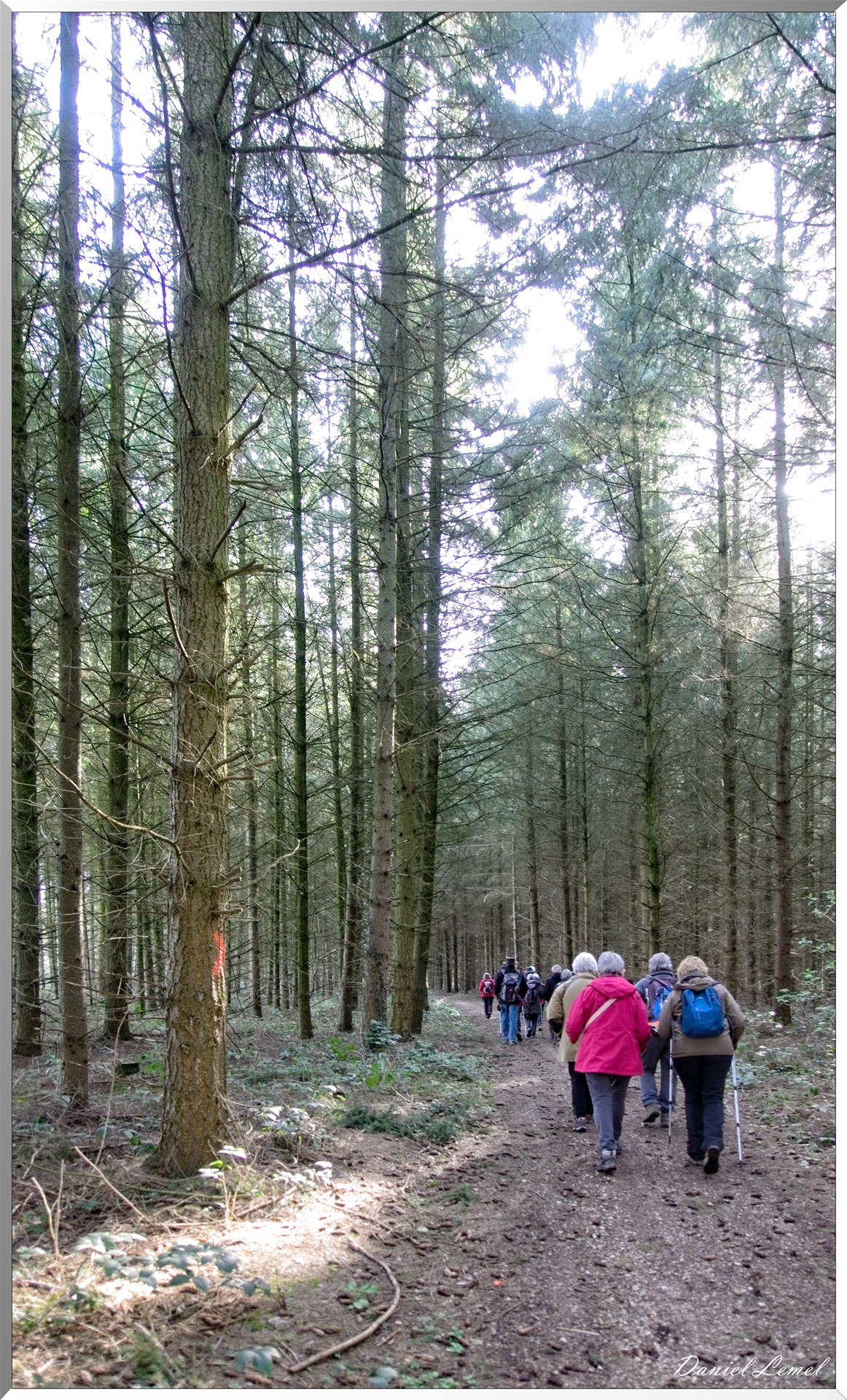 La-Chapelle-Réanville