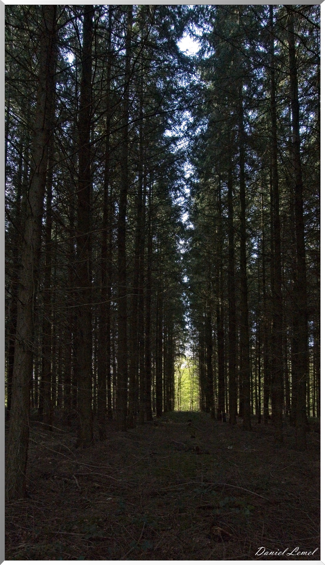 La-Chapelle-Réanville