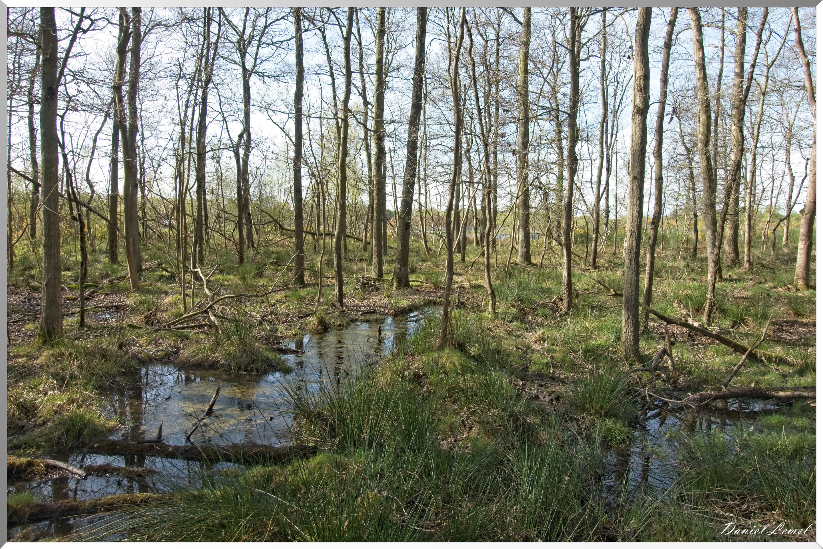 La-Chapelle-Réanville