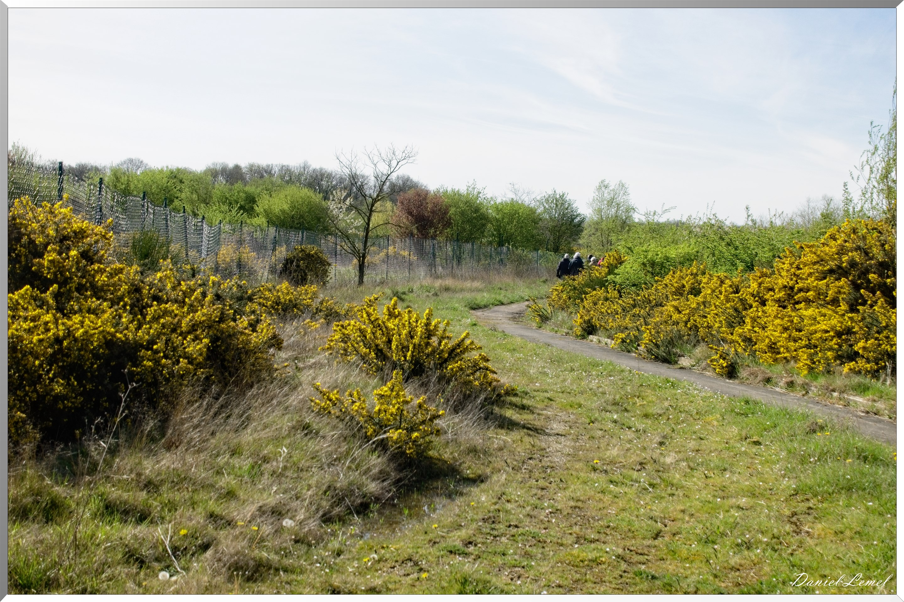 La-Chapelle-Réanville