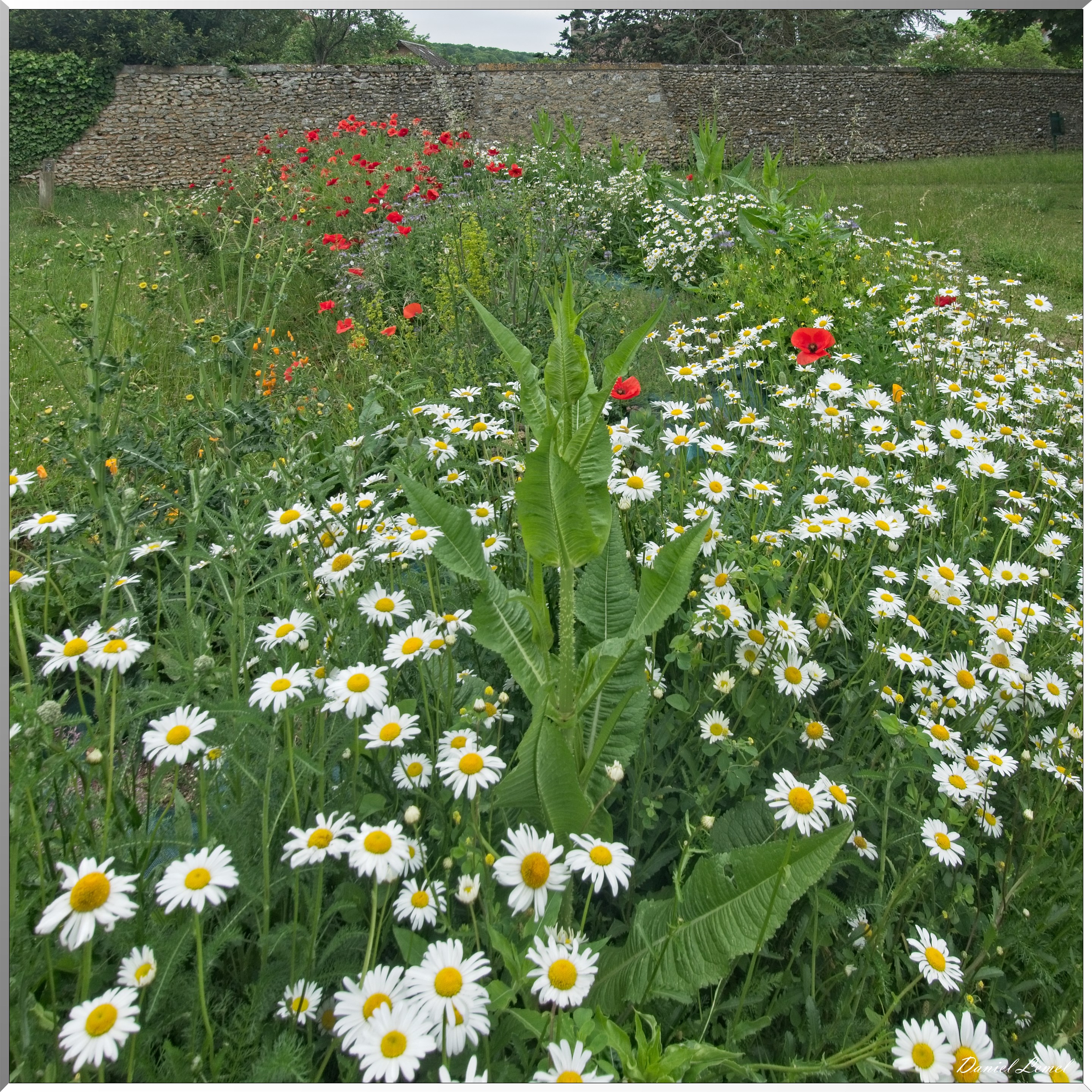 Croisy-sur-Eure