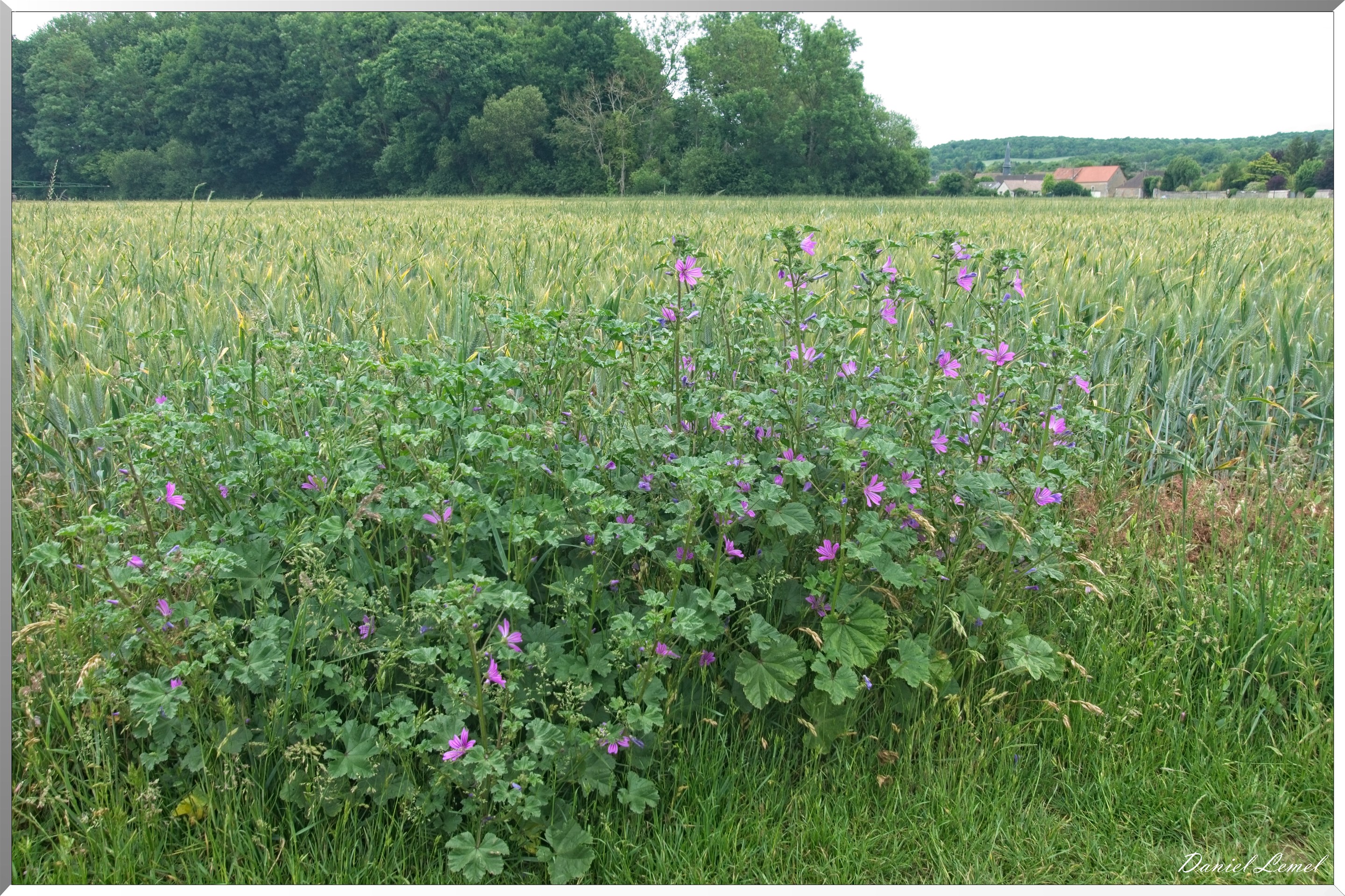 Croisy-sur-Eure