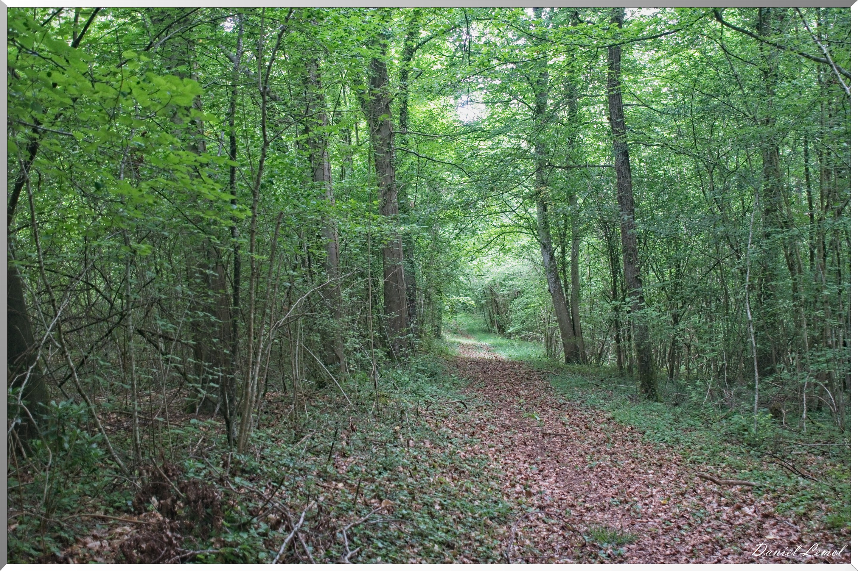 Croisy-sur-Eure
