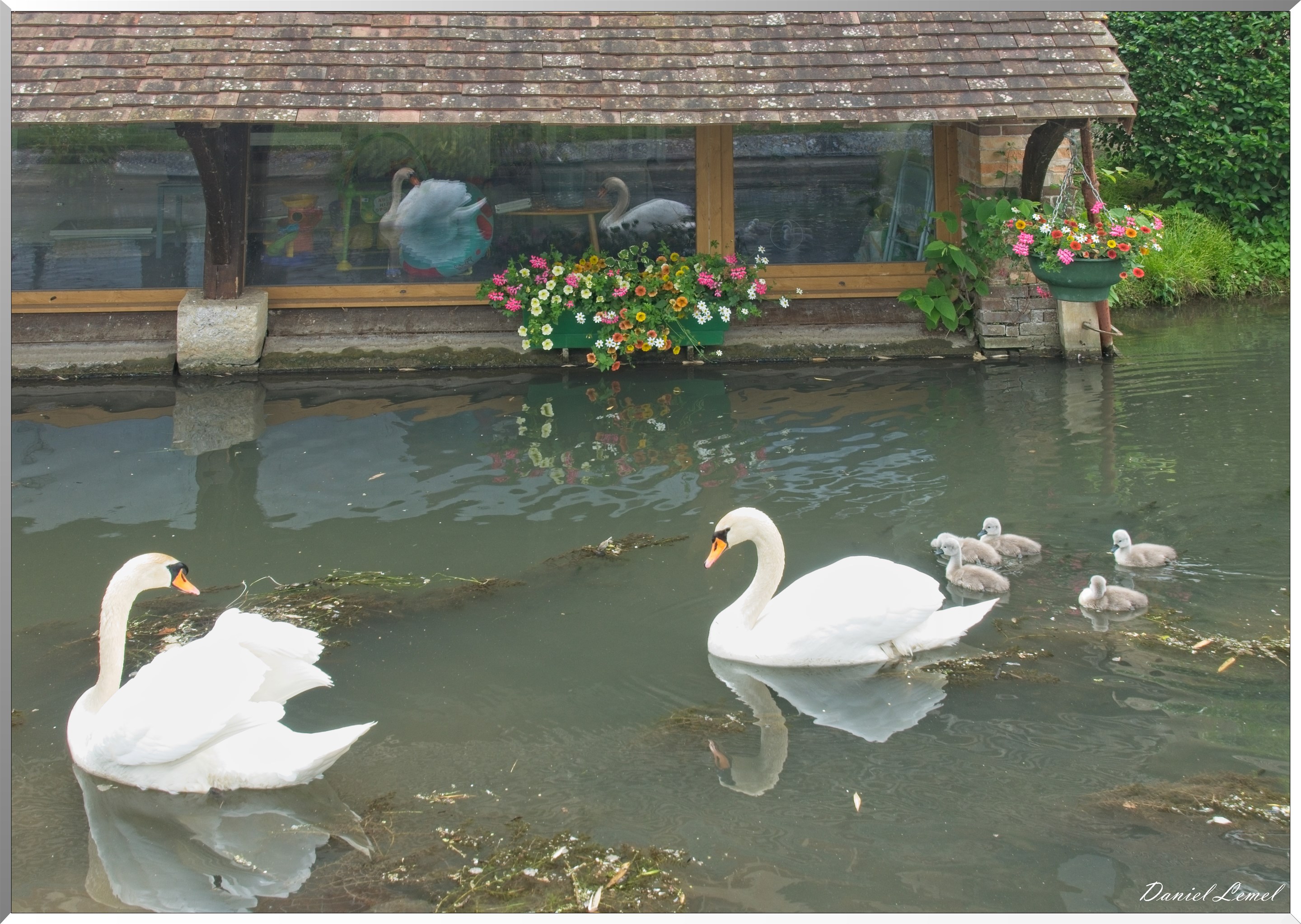 Croisy-sur-Eure