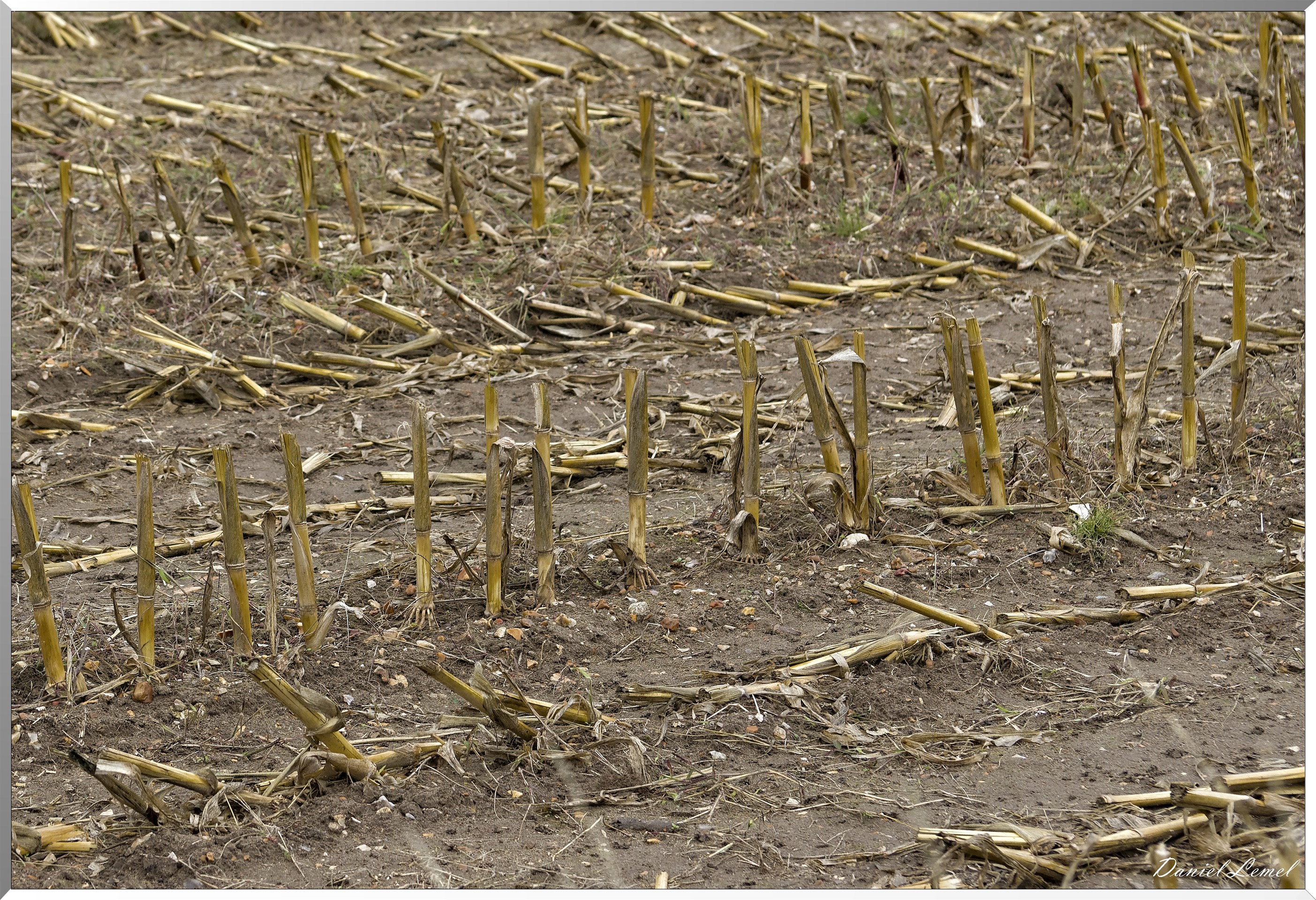 La Croix-Saint-Leufroy
