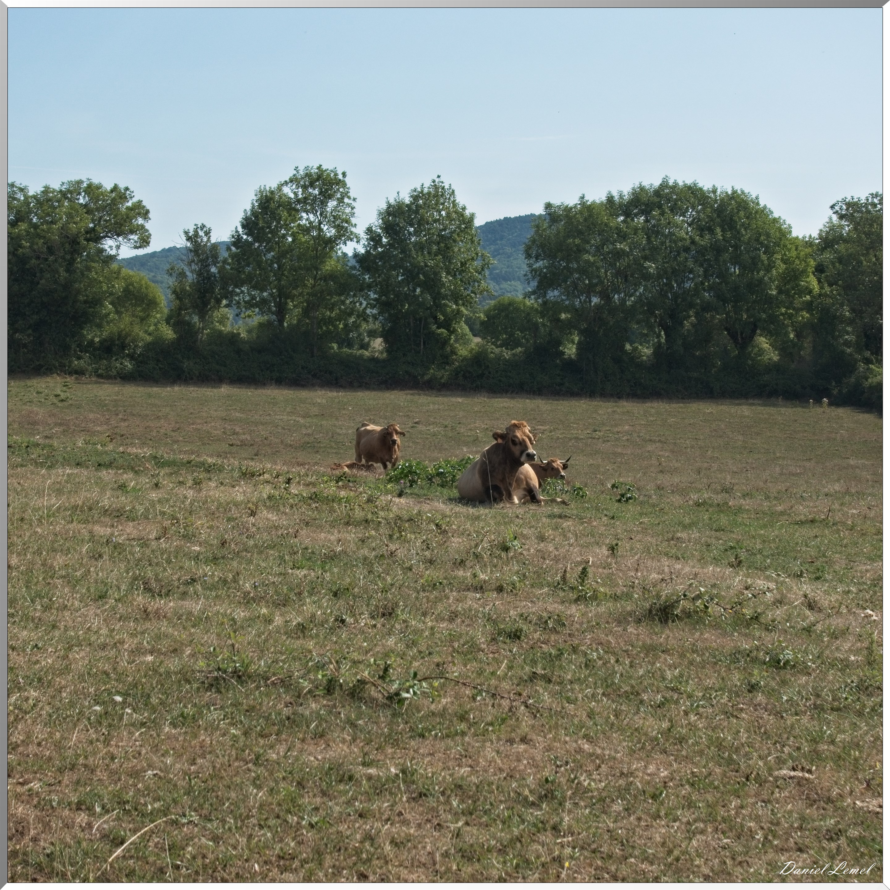 Cornuéjouls - Buzeins