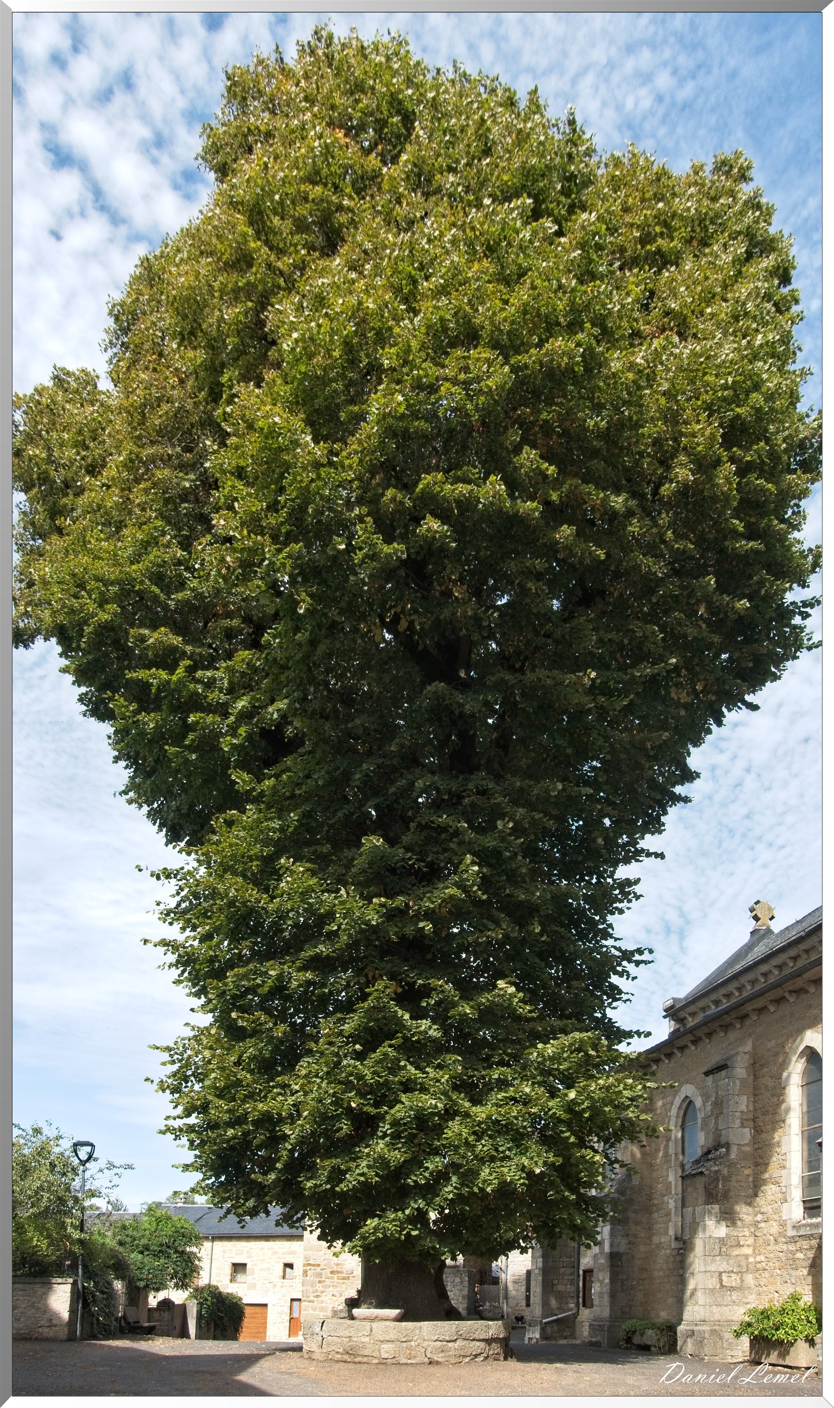 Cornuéjouls - Buzeins