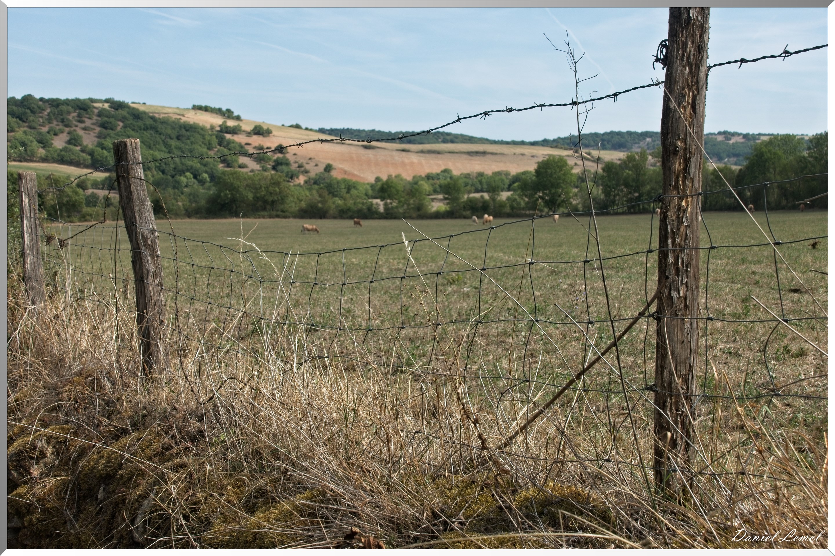 Cornuéjouls - Buzeins