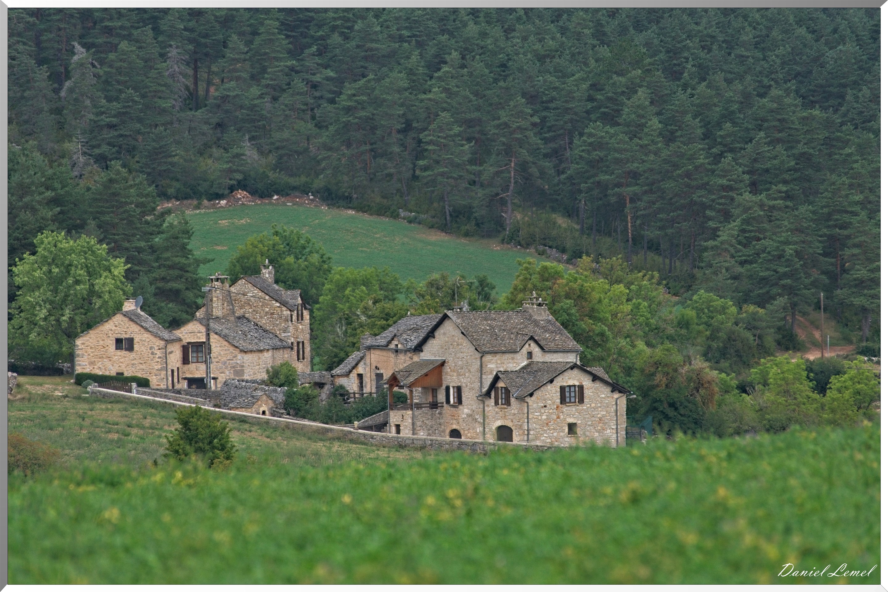 Le Gauzinès en Lozère