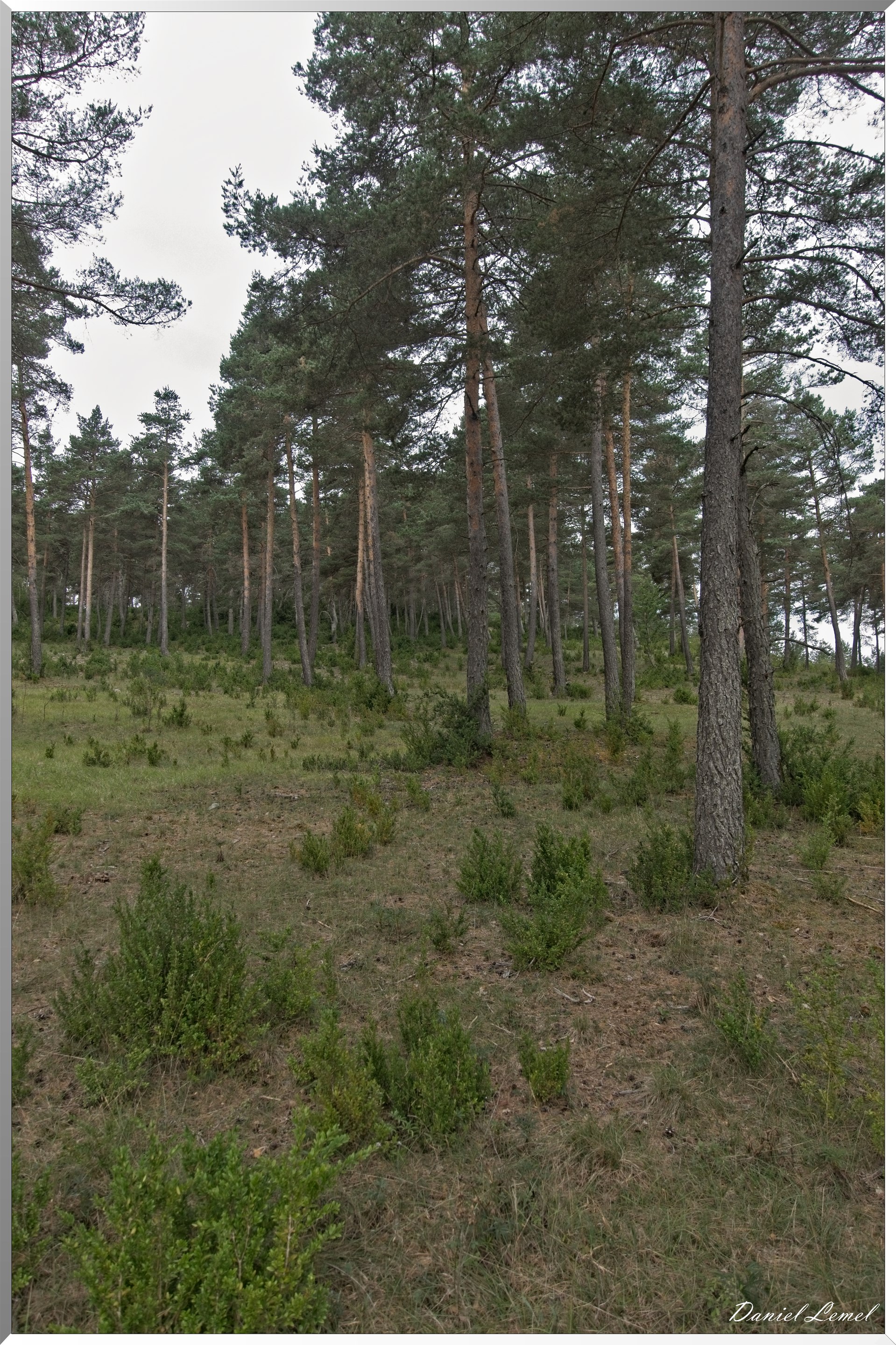 Le Gauzinès en Lozère