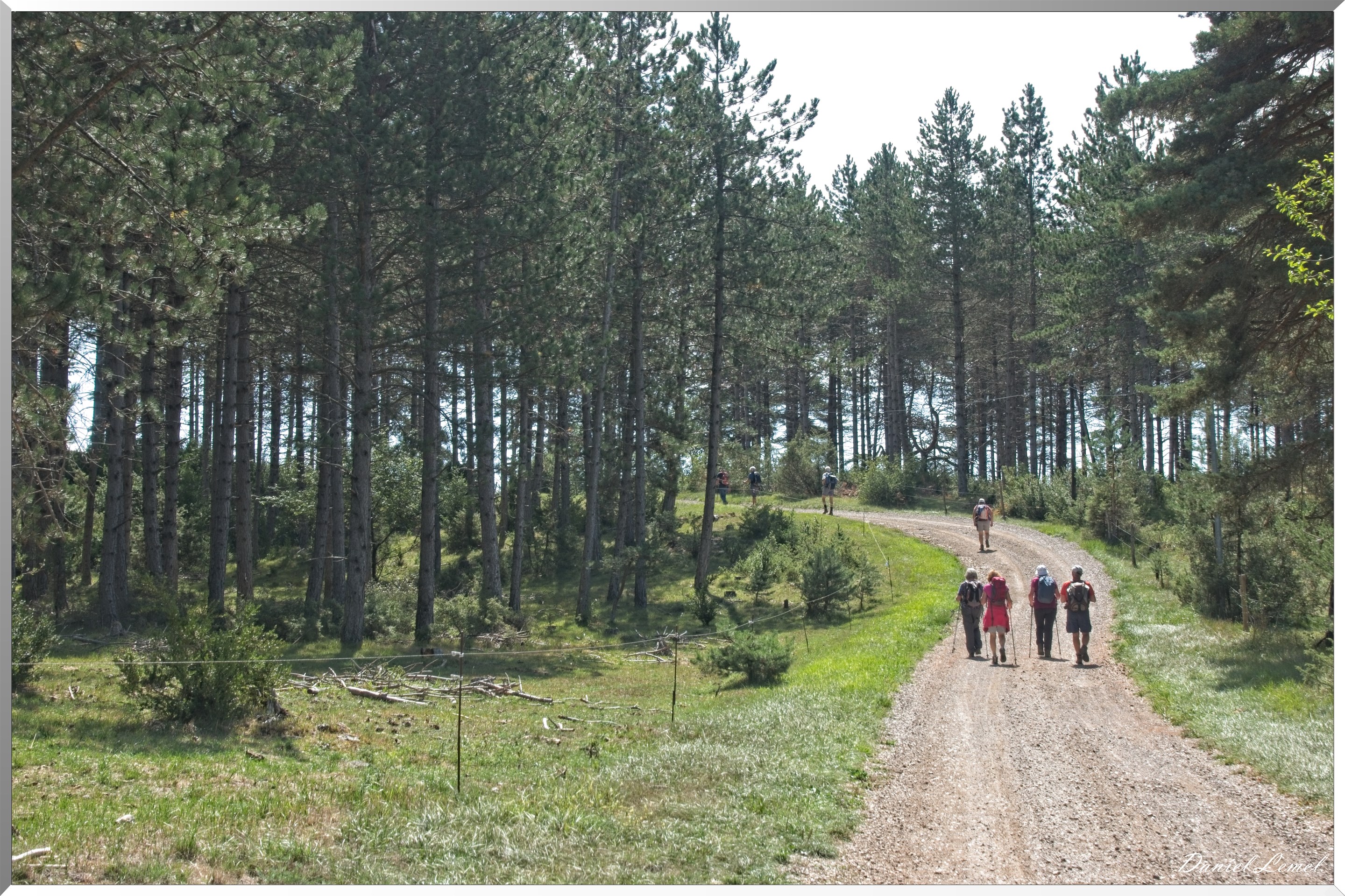 Le Gauzinès en Lozère