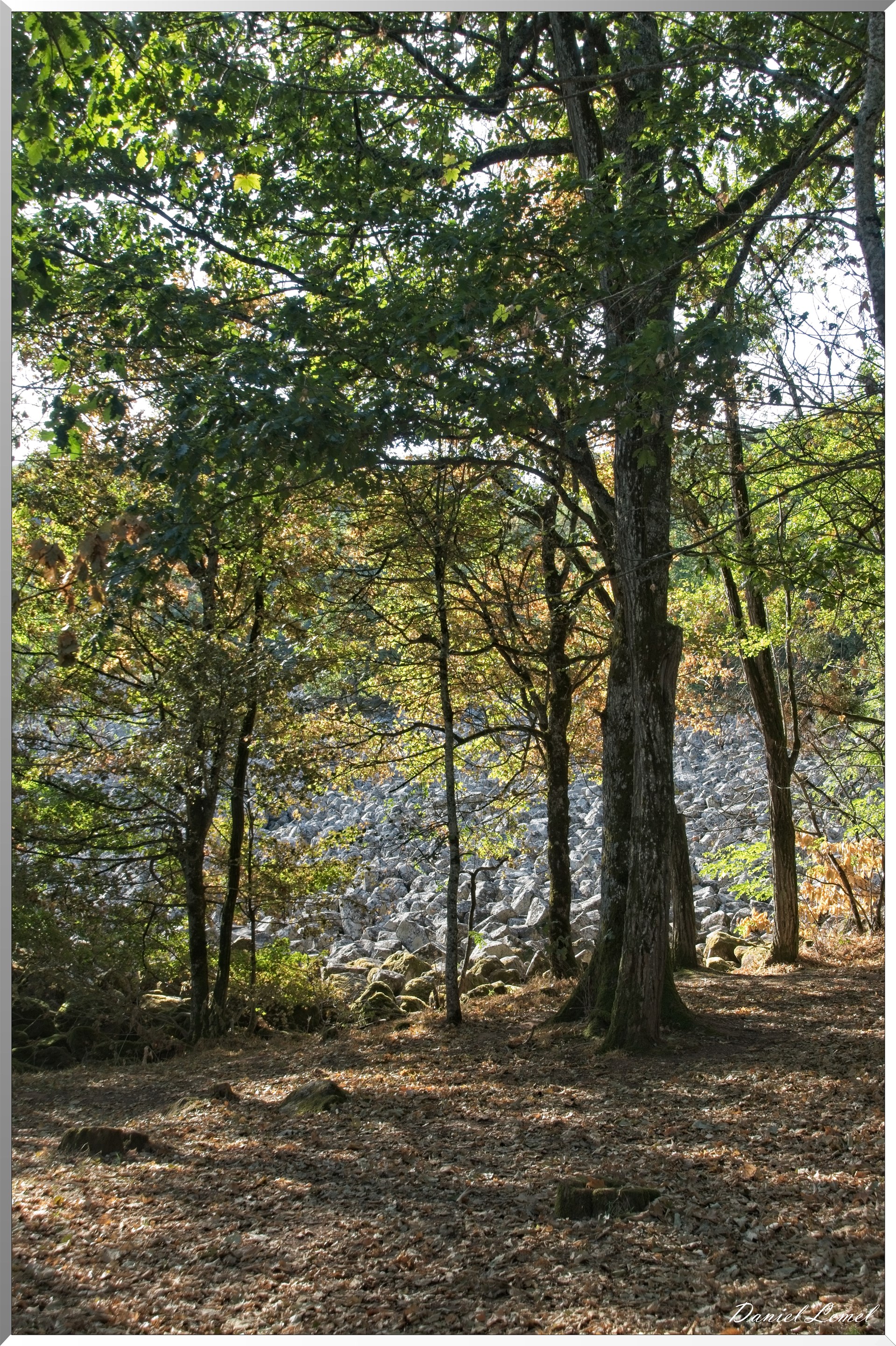 La coulée de lave de Roquelaure