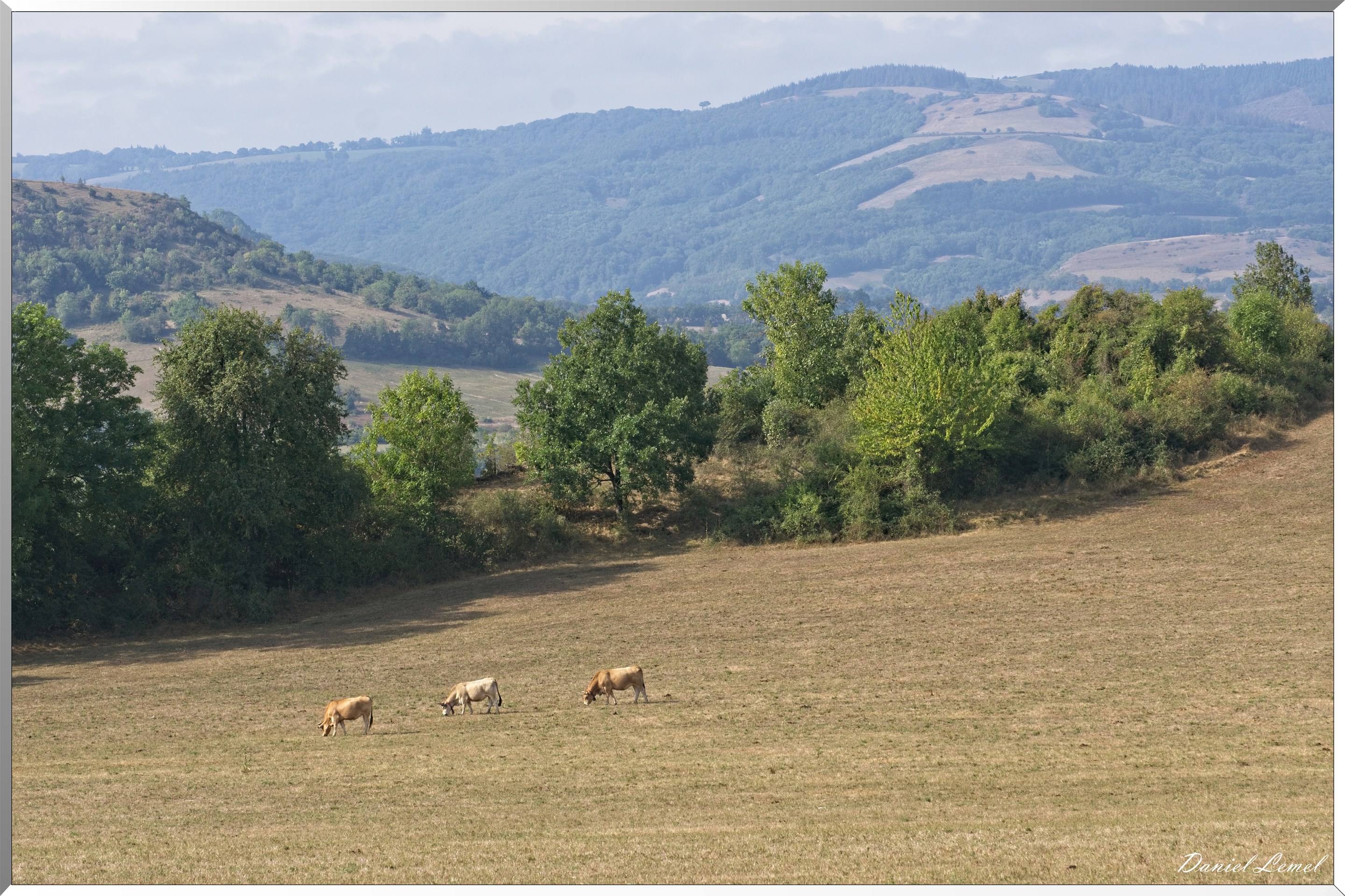 Buzareingues