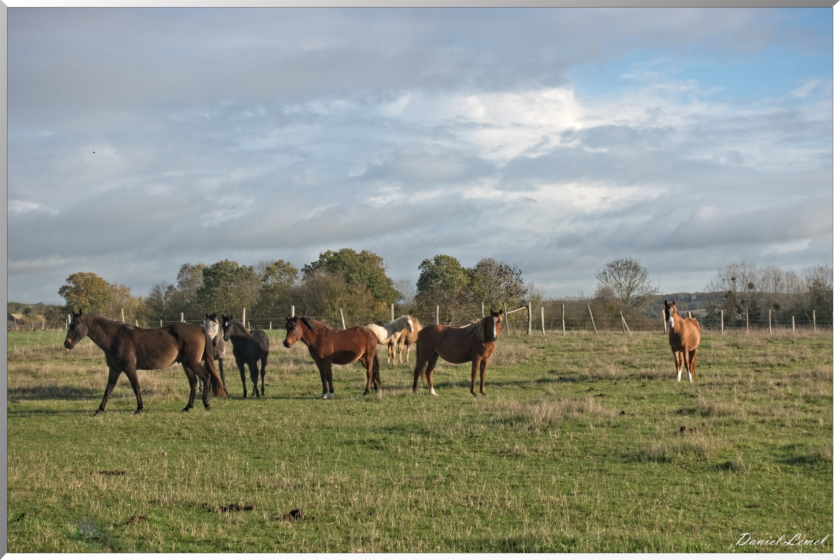 La-Chapelle-Réanville