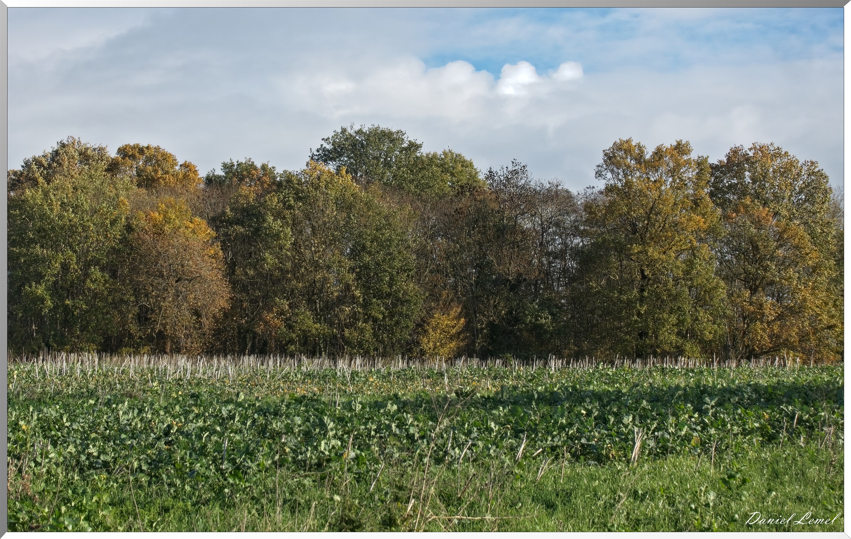 La-Chapelle-Réanville