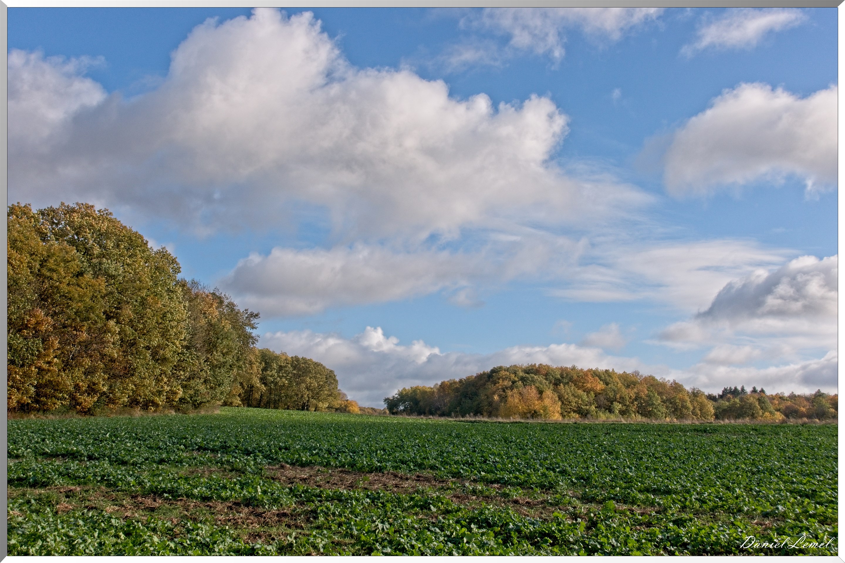 La-Chapelle-Réanville